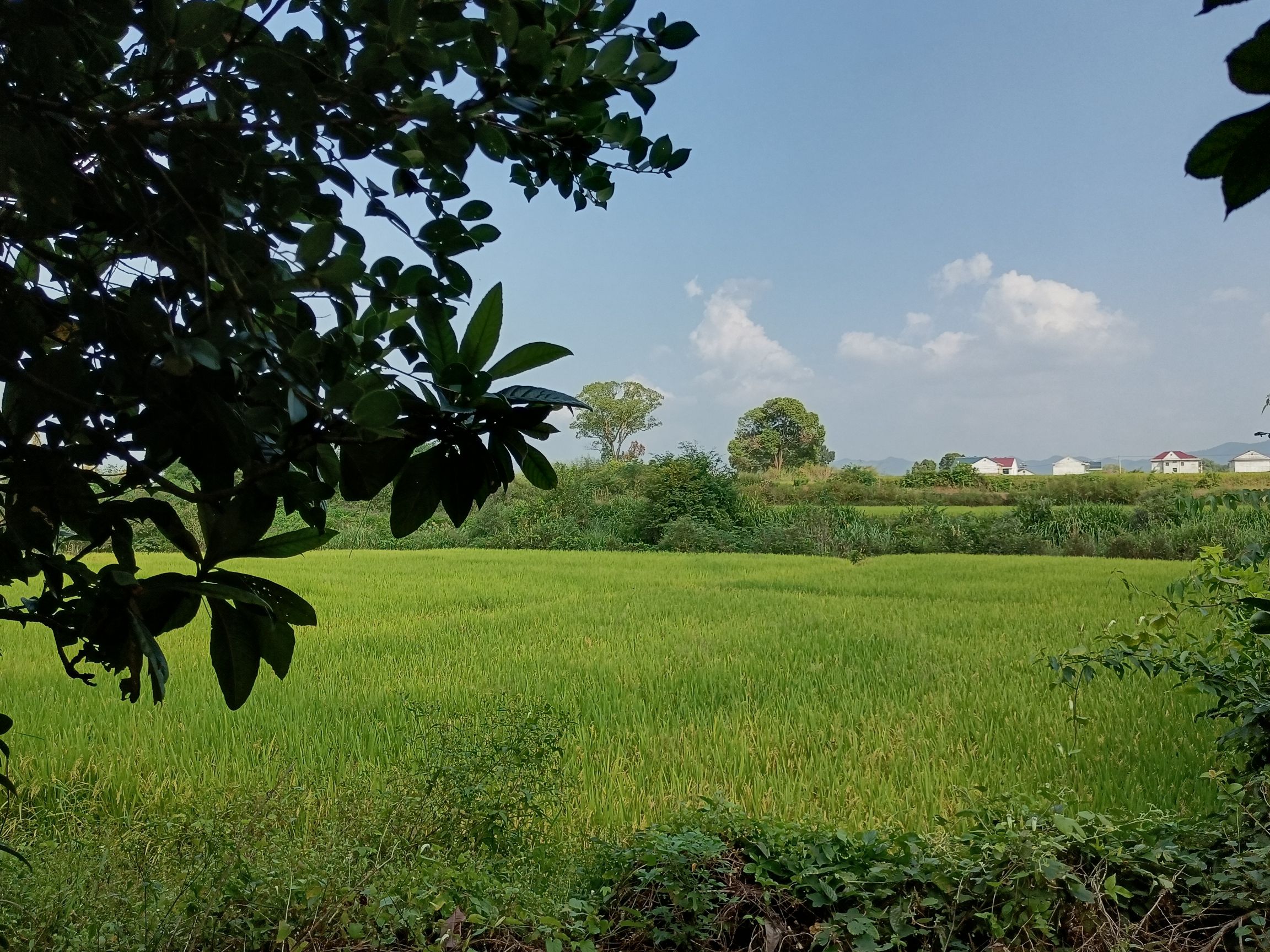 塘边古村旅游景点旅行图片 3