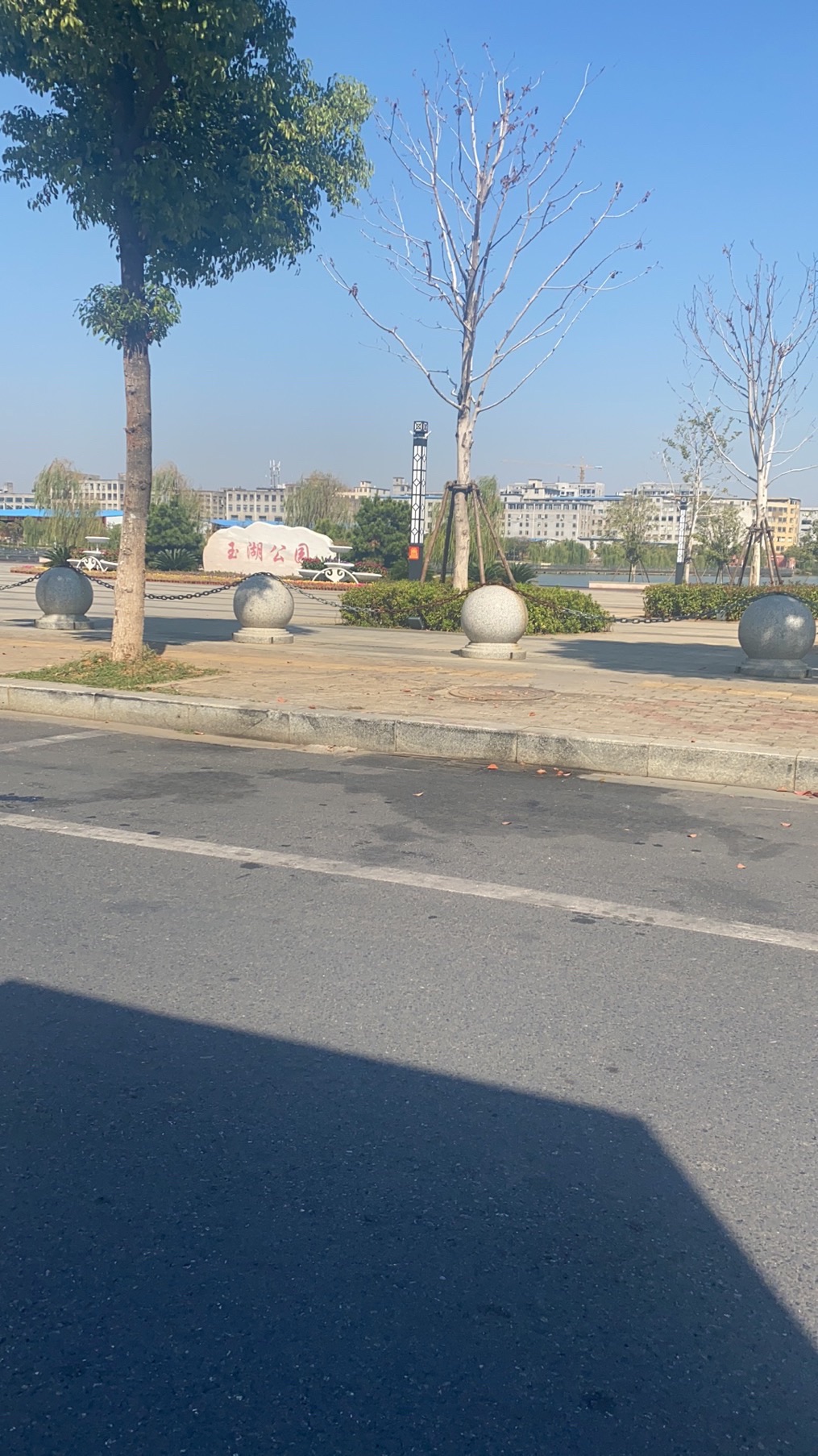 金湖公园旅行图片 2