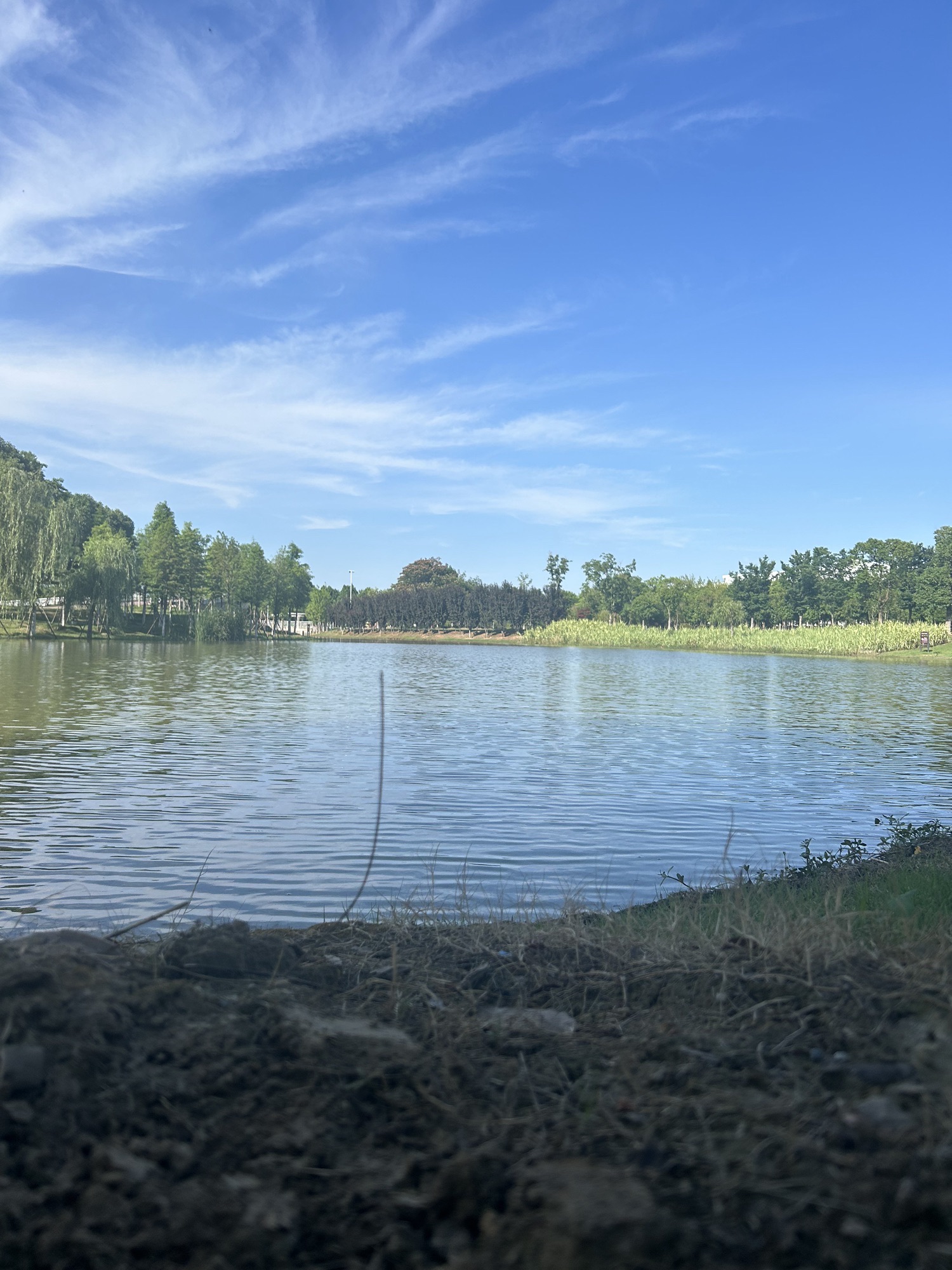金湖公园旅行图片 2