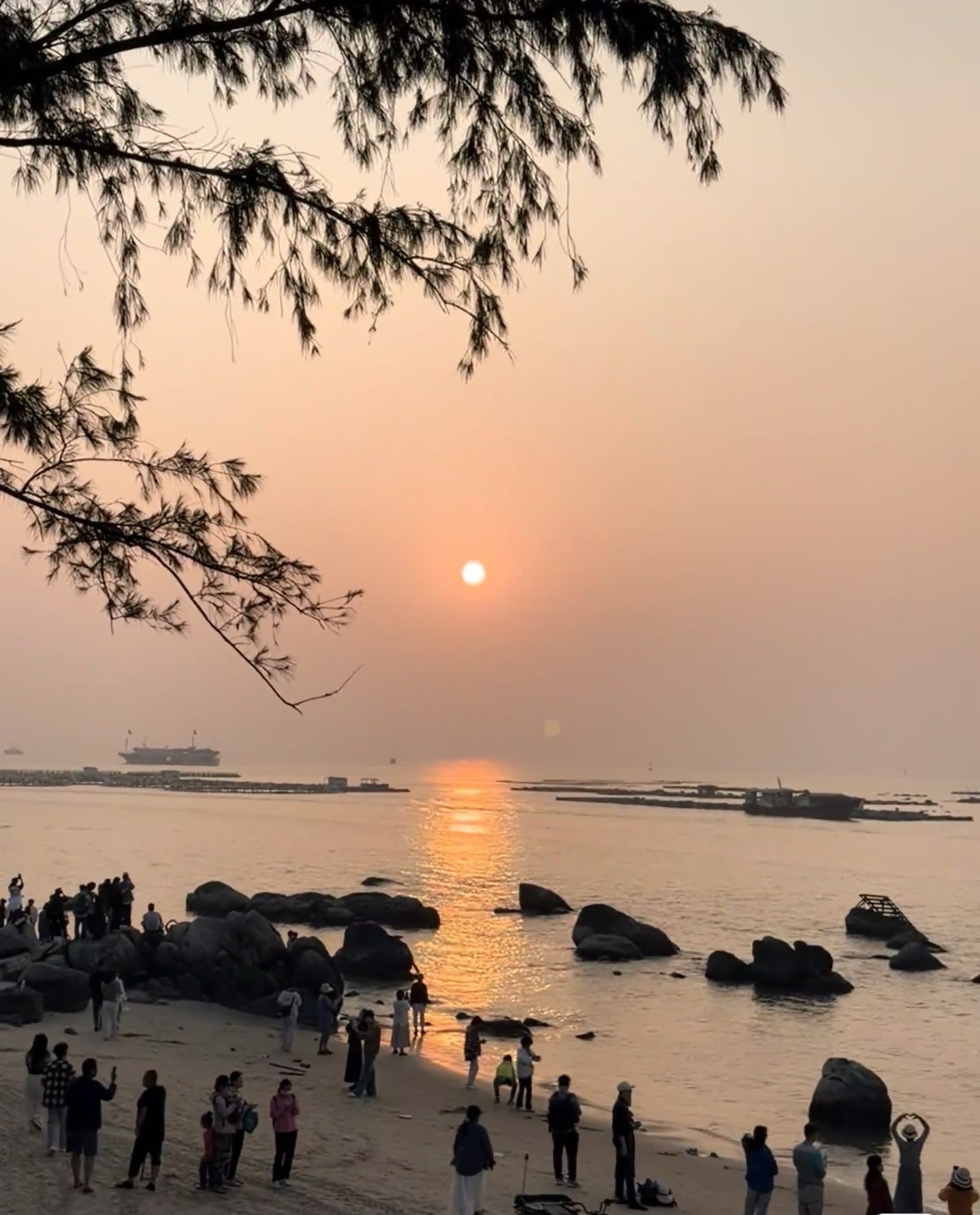 海陵岛风景区旅行图片 3