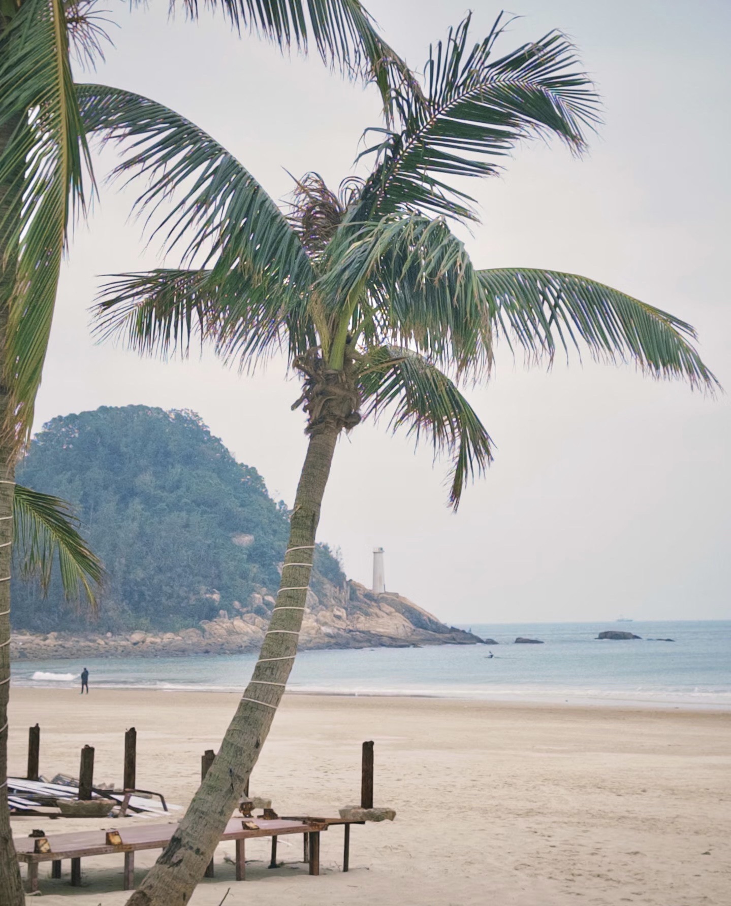 海陵岛风景区旅行图片 2