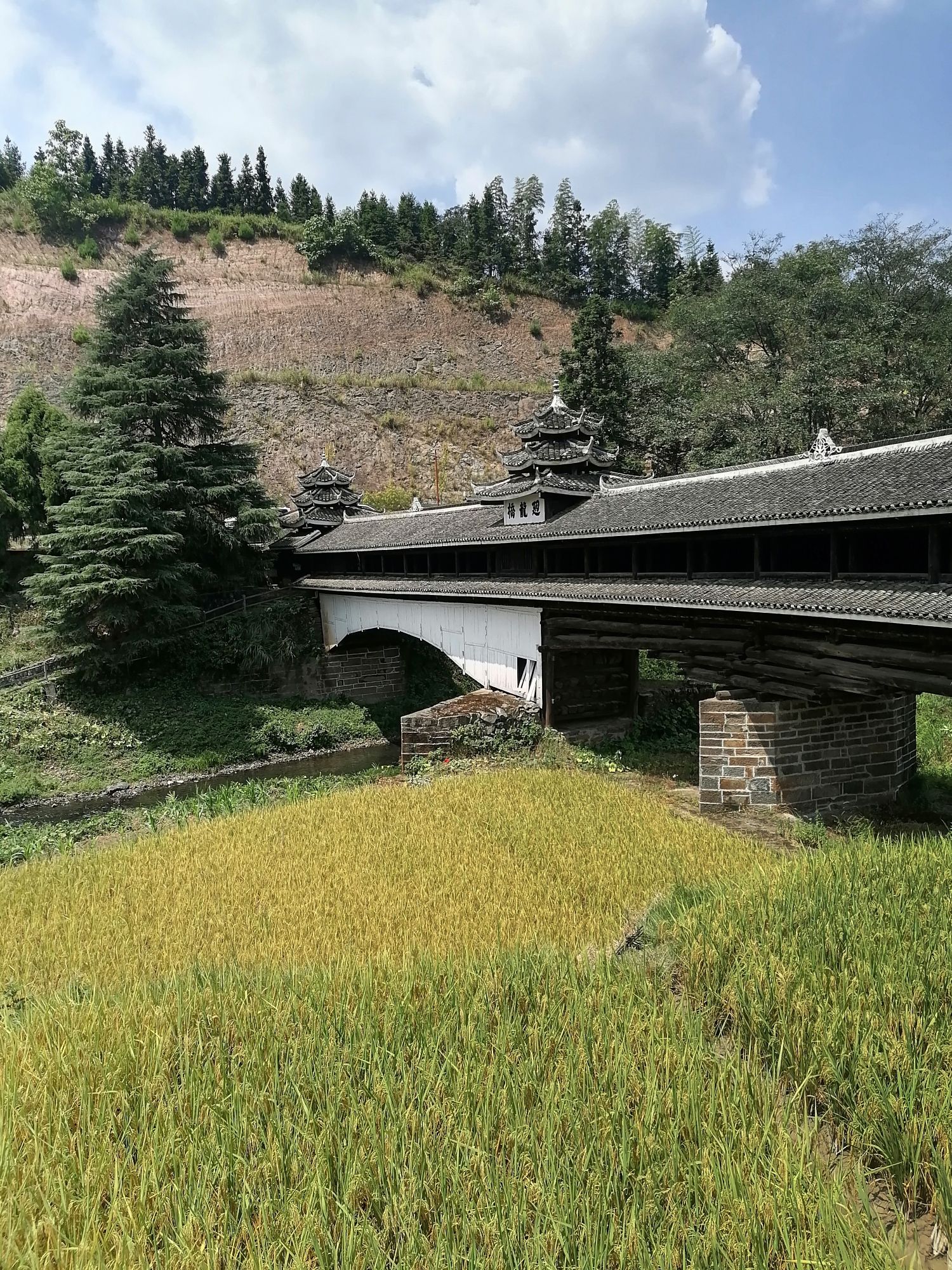 黄桑地质公园旅行图片 3