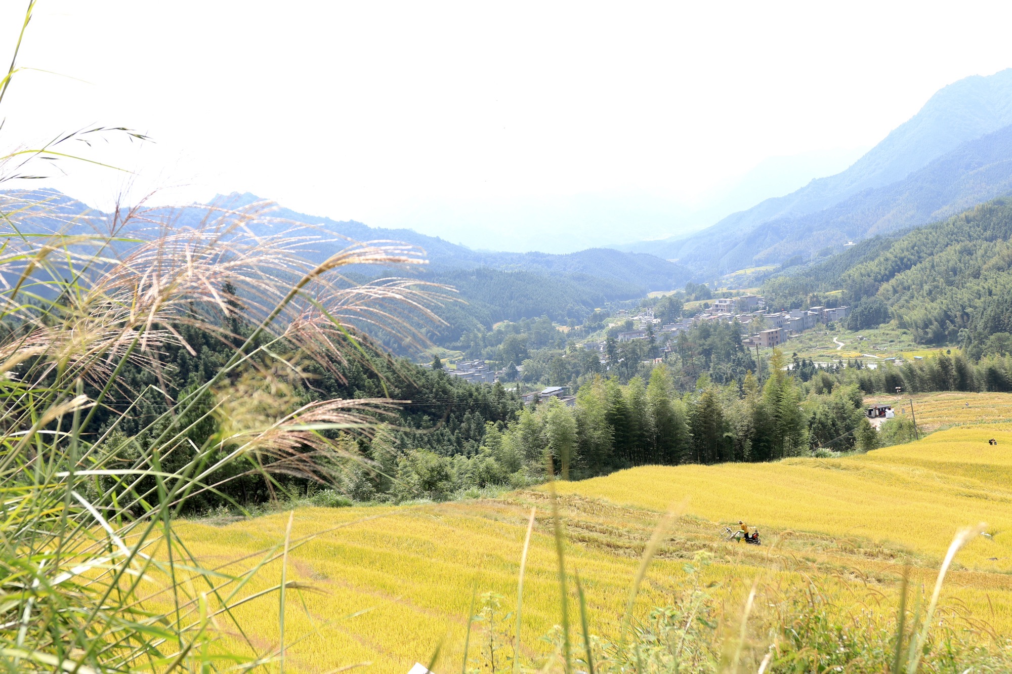 黑山梯田旅行图片 3