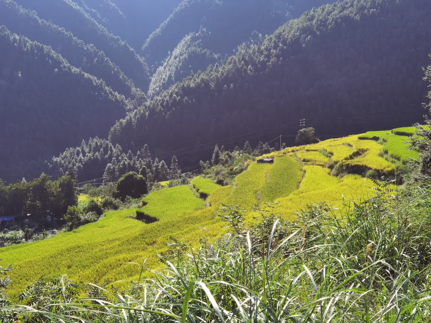黑山梯田旅行图片 1