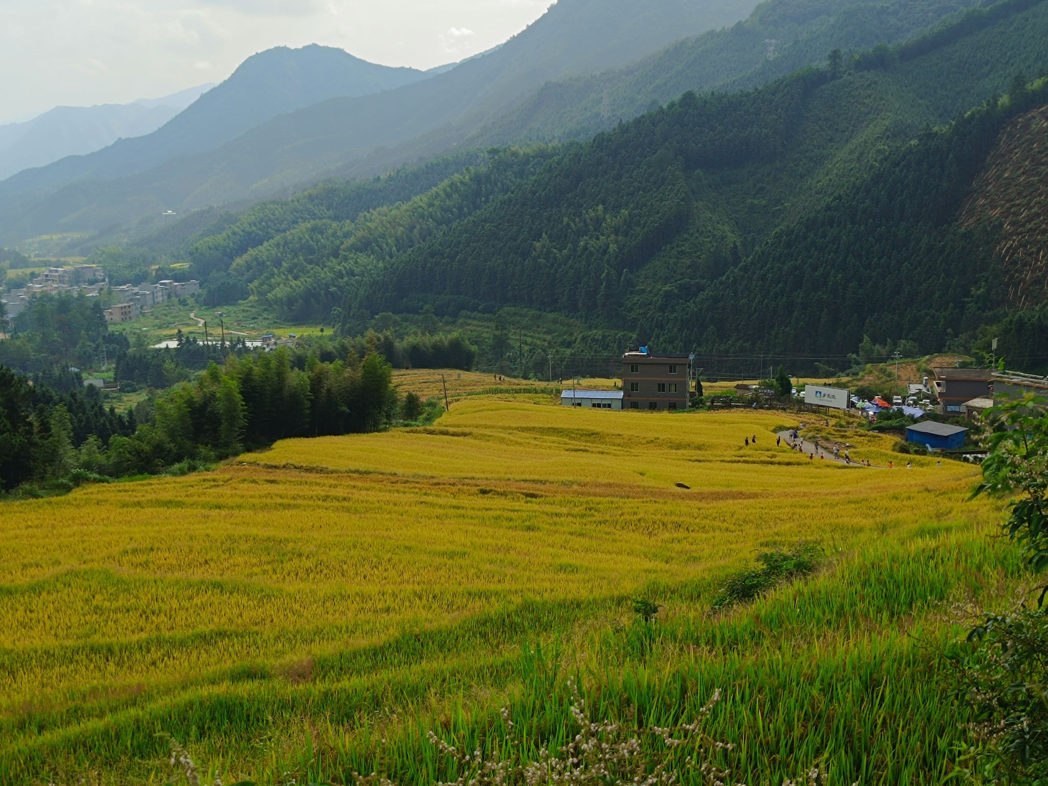 黑山梯田旅行图片 3