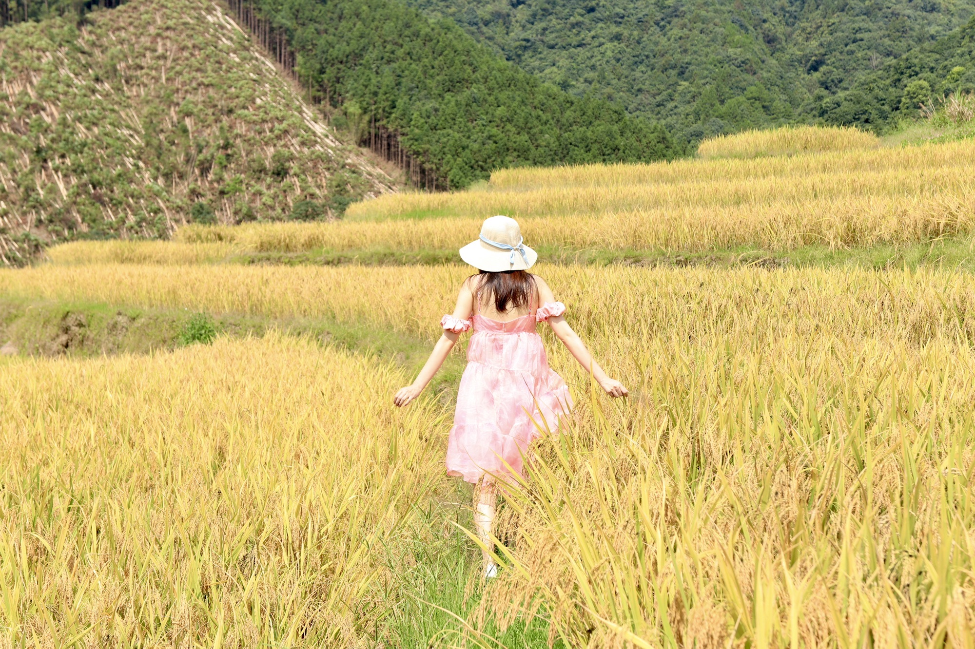 黑山梯田旅行图片 1
