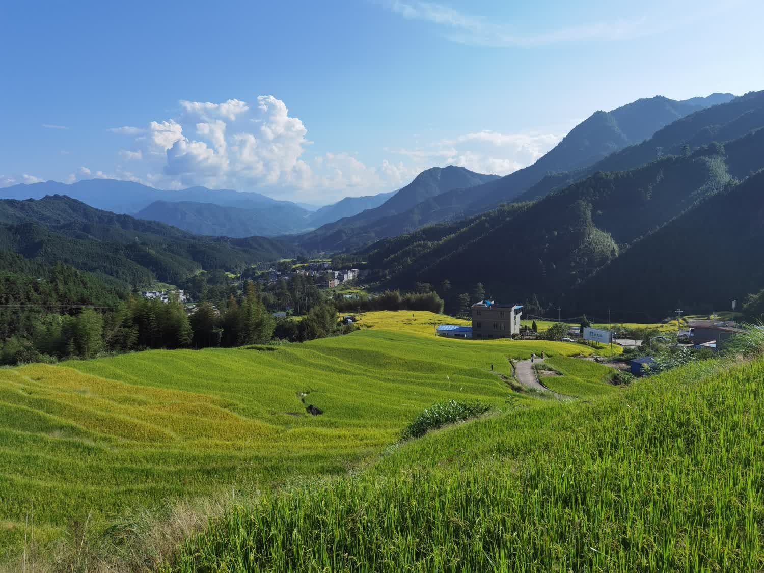 黑山梯田旅行图片 2