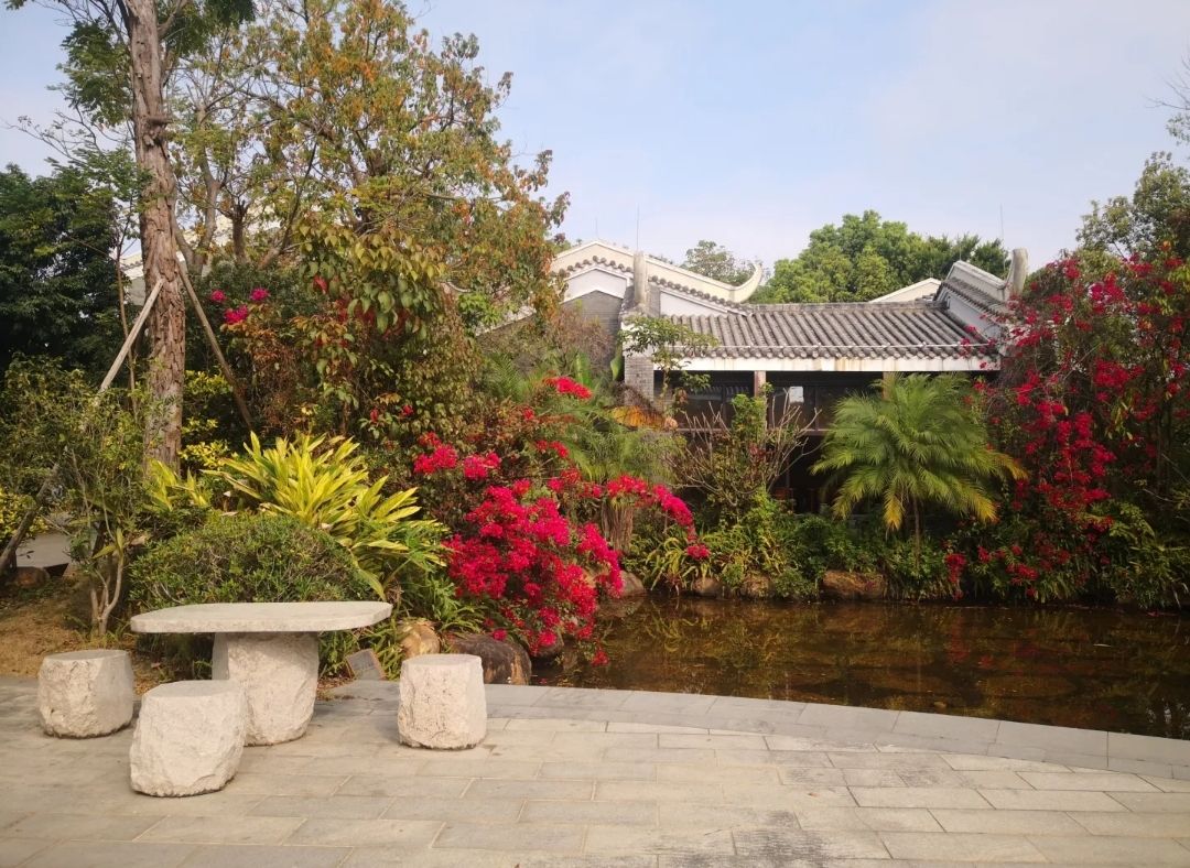 富力湾水云天古村落旅行图片 3
