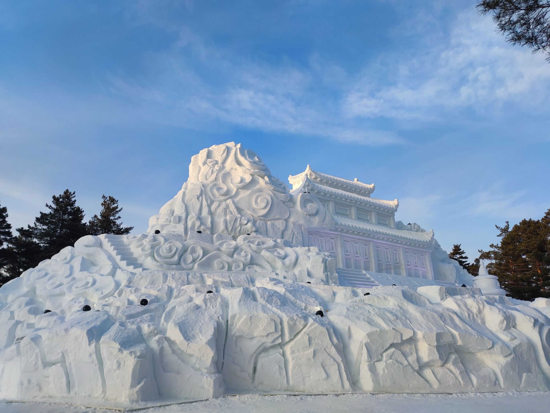 美人松空中廊桥公园旅行图片 3