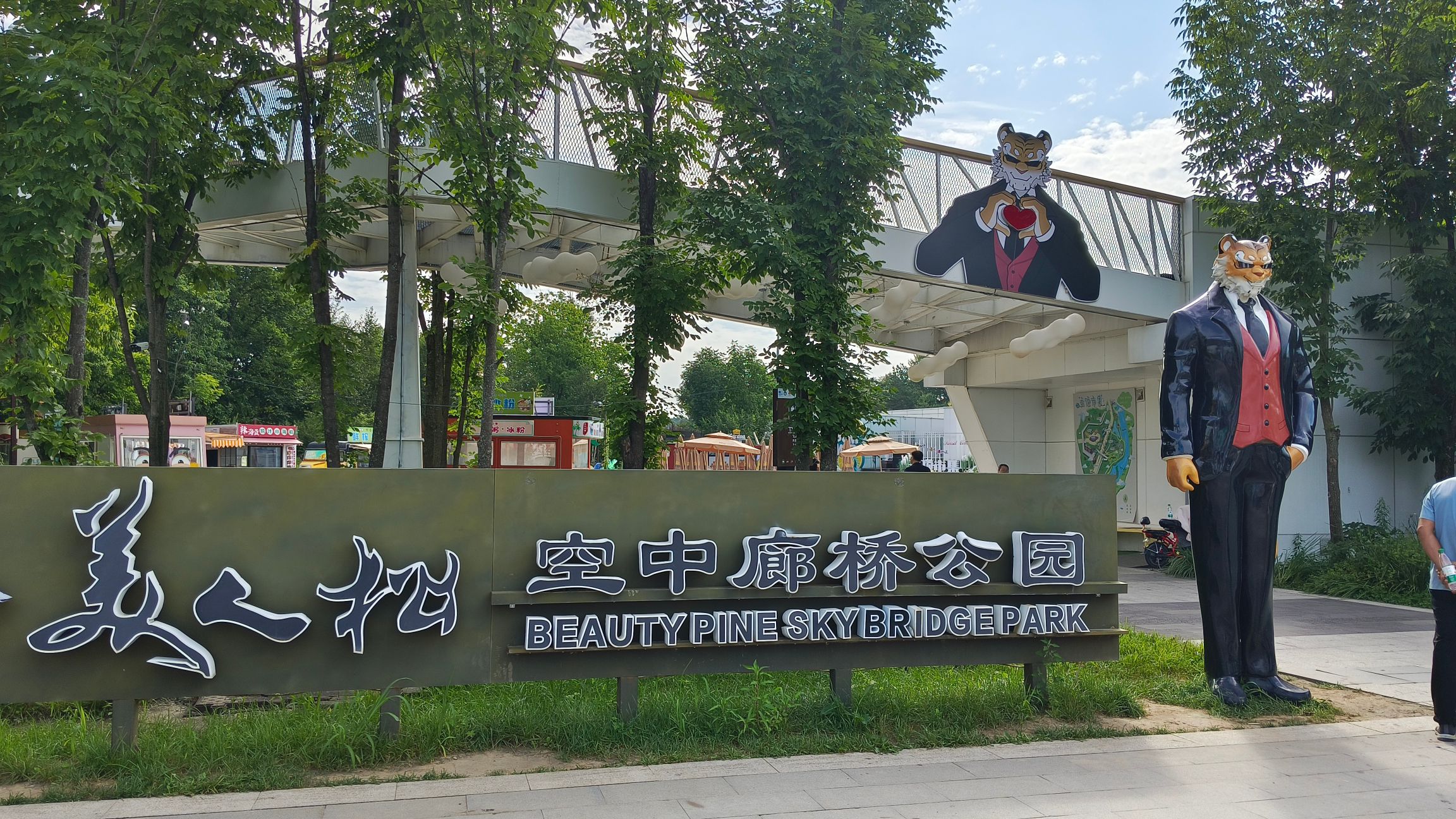 美人松空中廊桥公园旅行图片 1