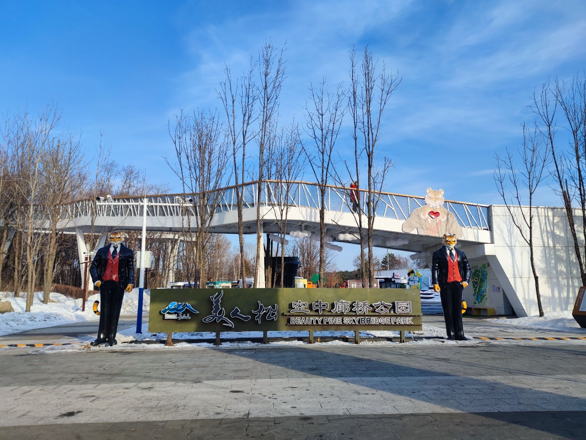 美人松空中廊桥公园旅行图片 1