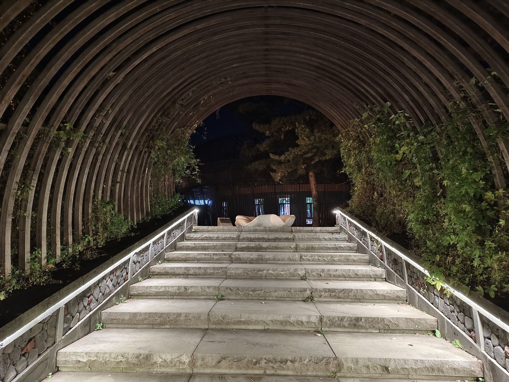 美人松空中廊桥公园旅行图片 2