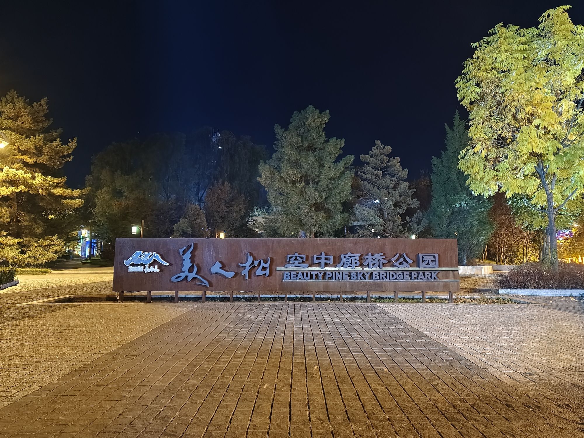 美人松空中廊桥公园旅行图片 1
