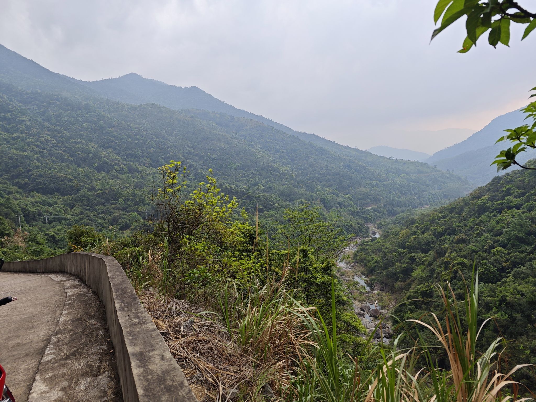 大南山旅行图片 1