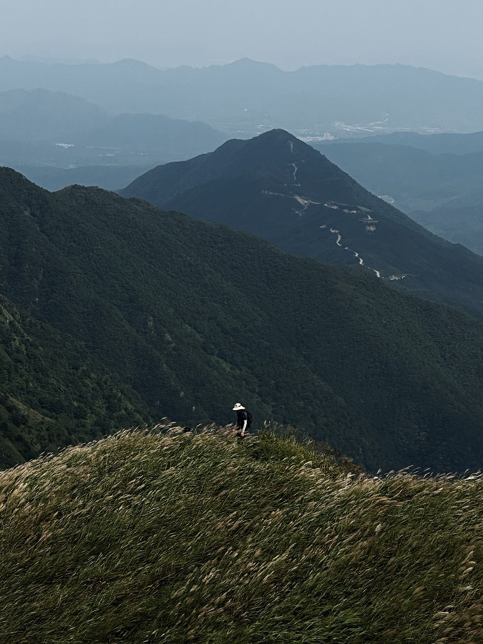 大南山旅行图片 3