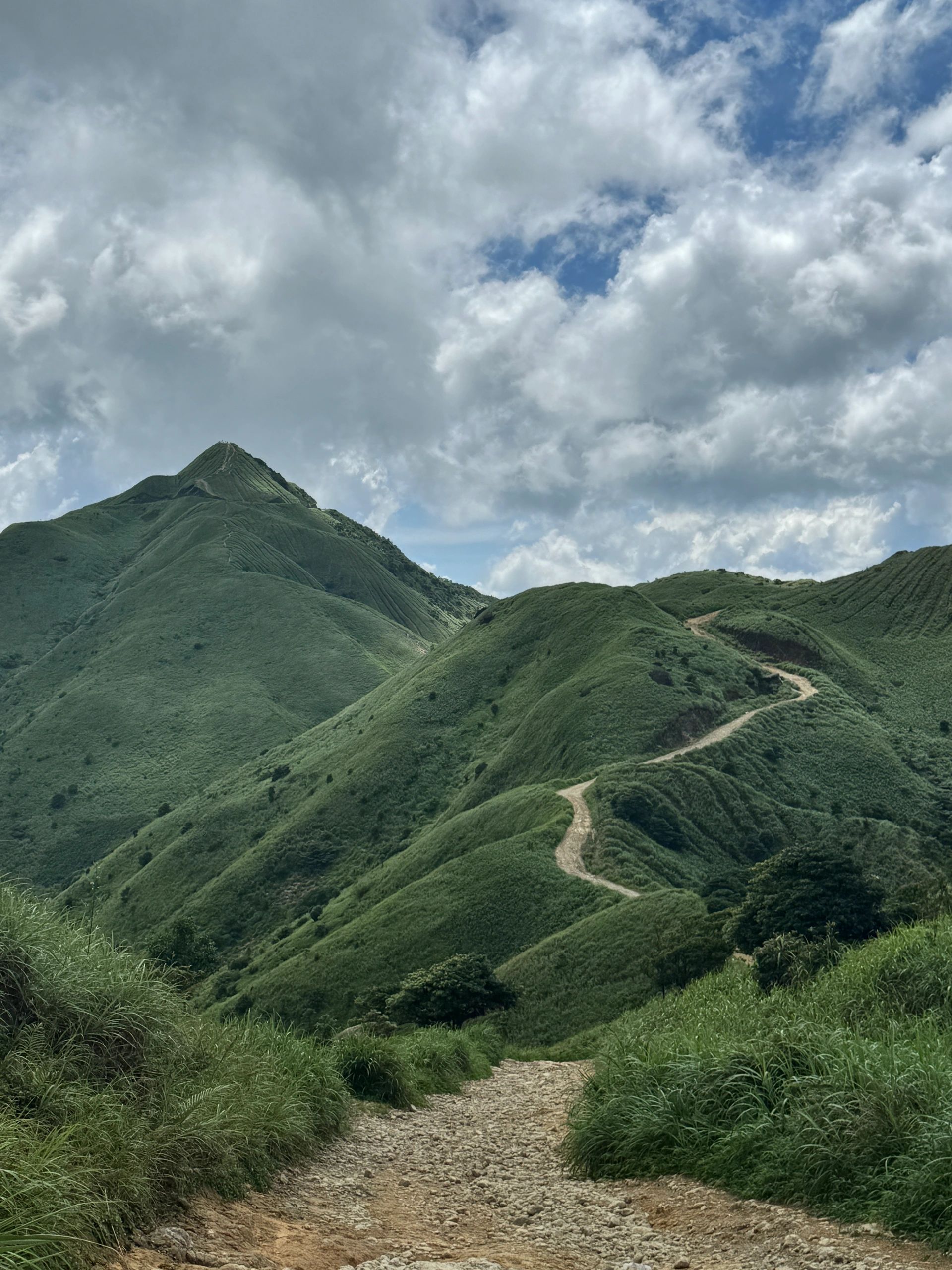 大南山旅行图片 1