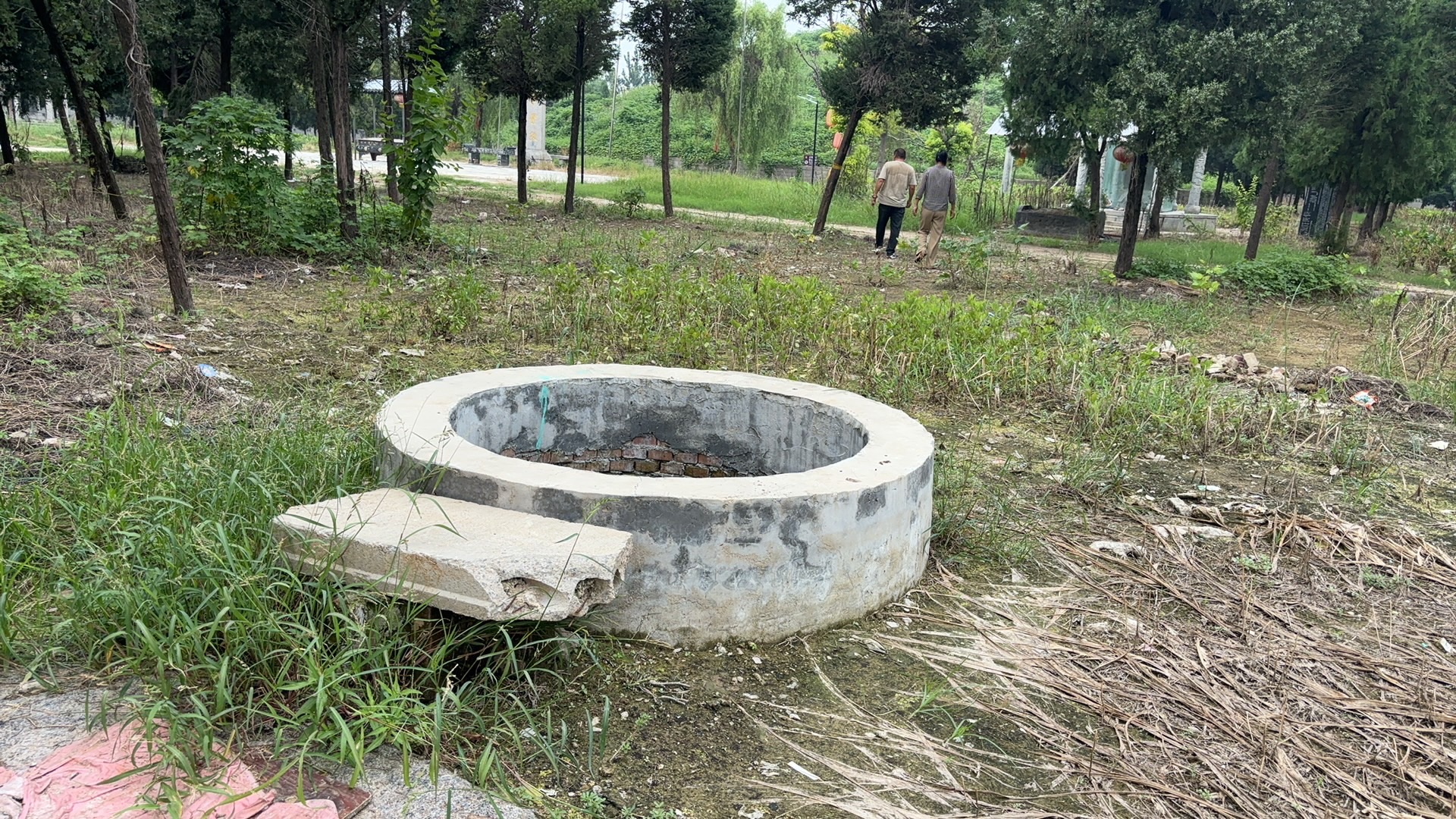 帝喾陵旅行图片 3