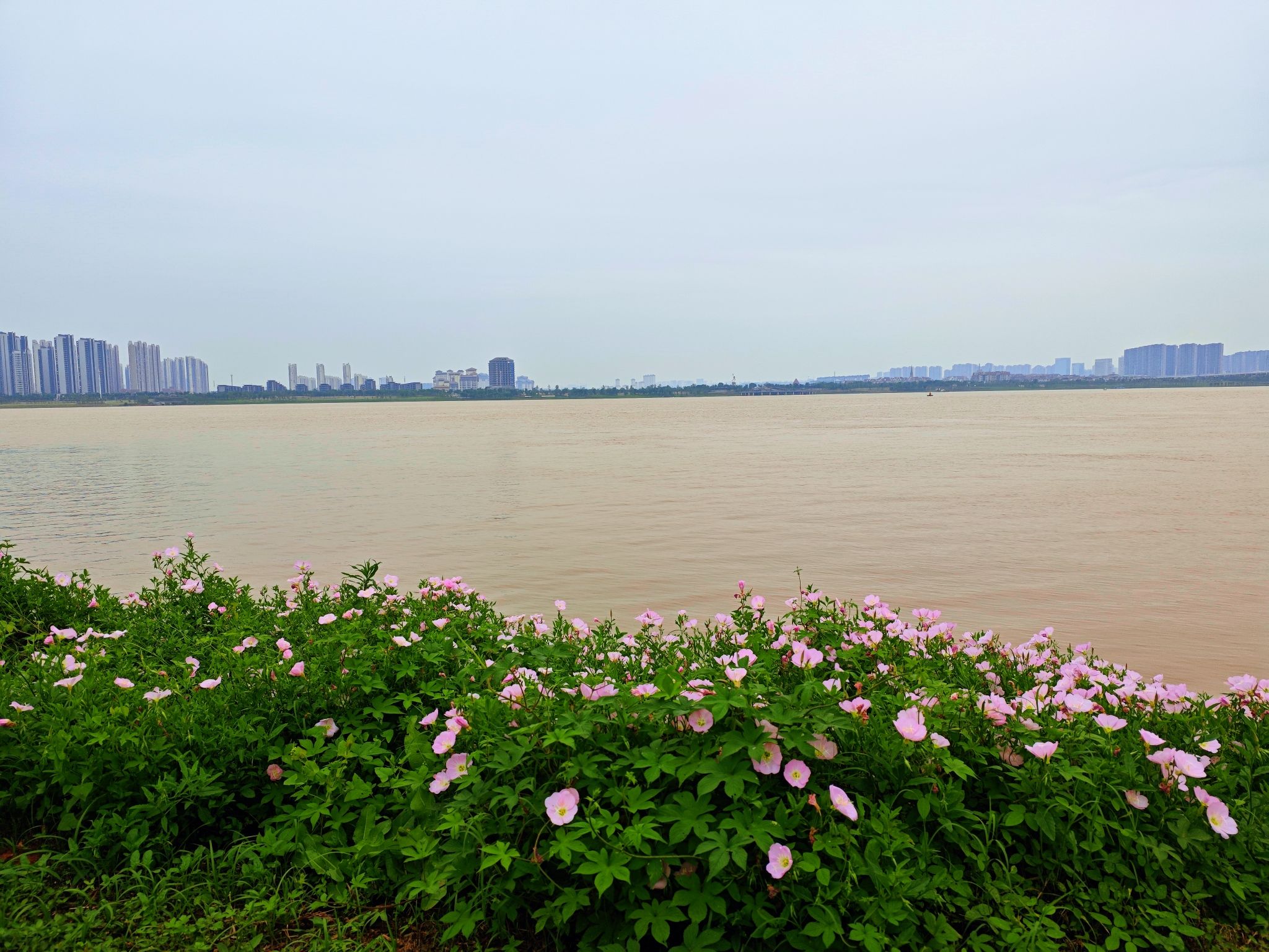 赣江昌南外滩公园旅行图片 1