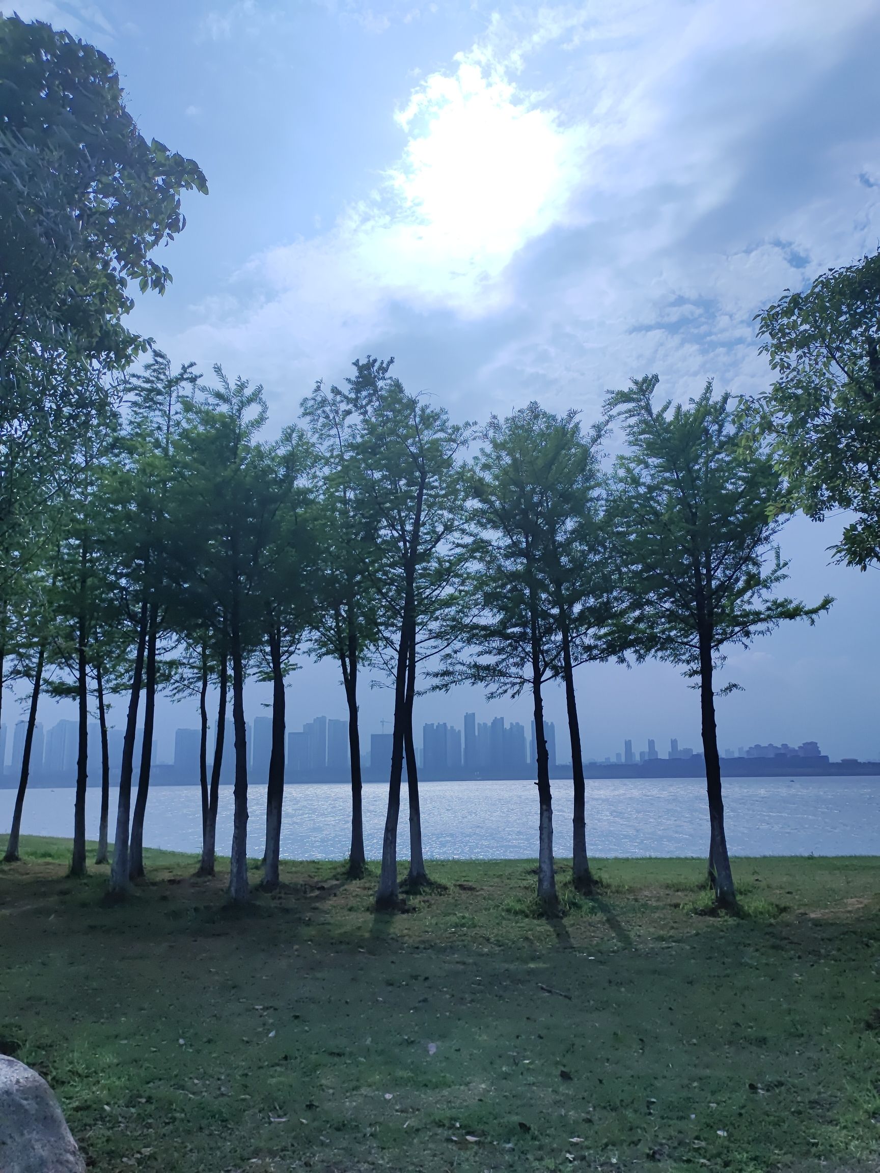 赣江昌南外滩公园旅行图片 3