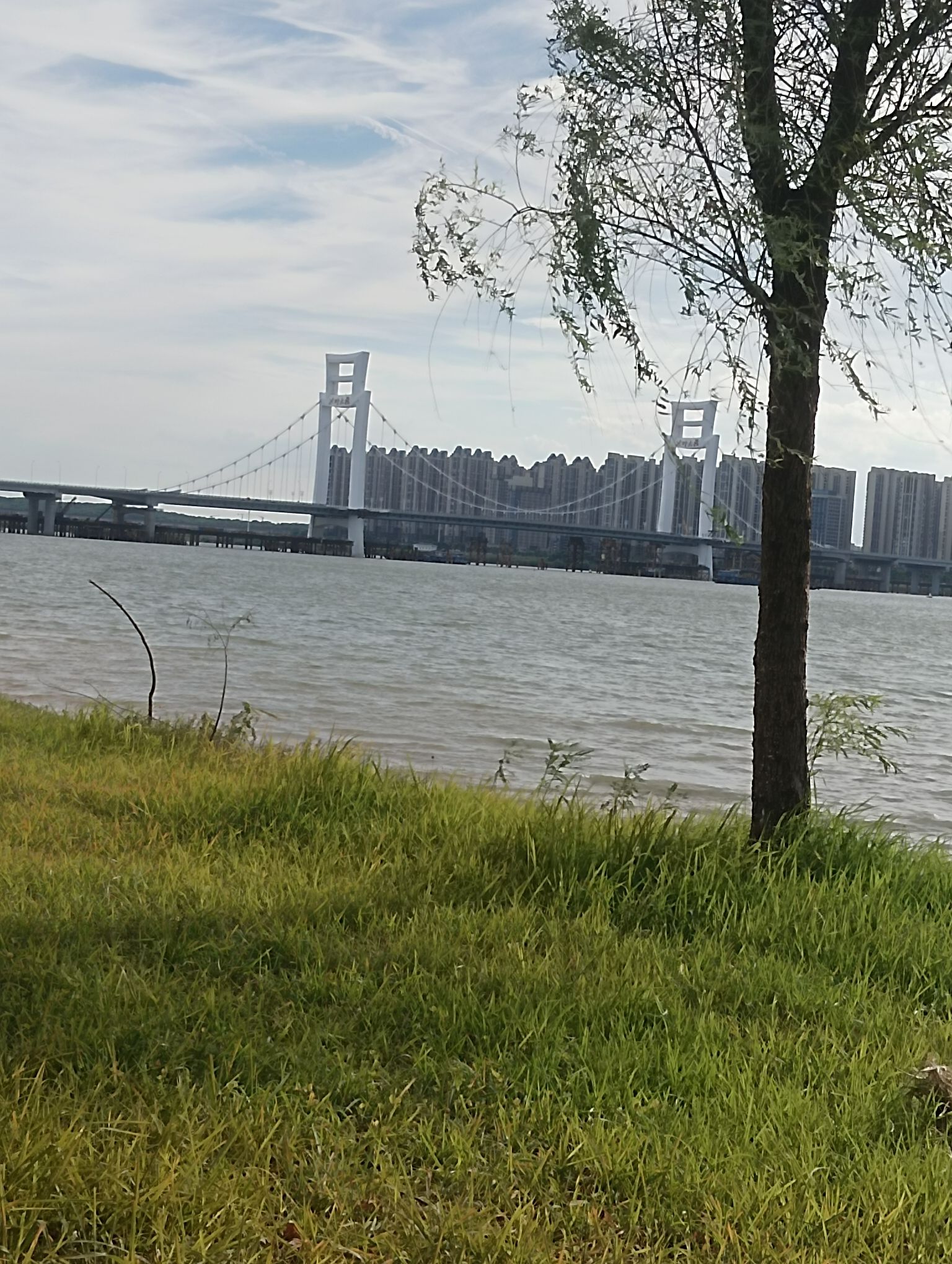 赣江昌南外滩公园旅行图片 3