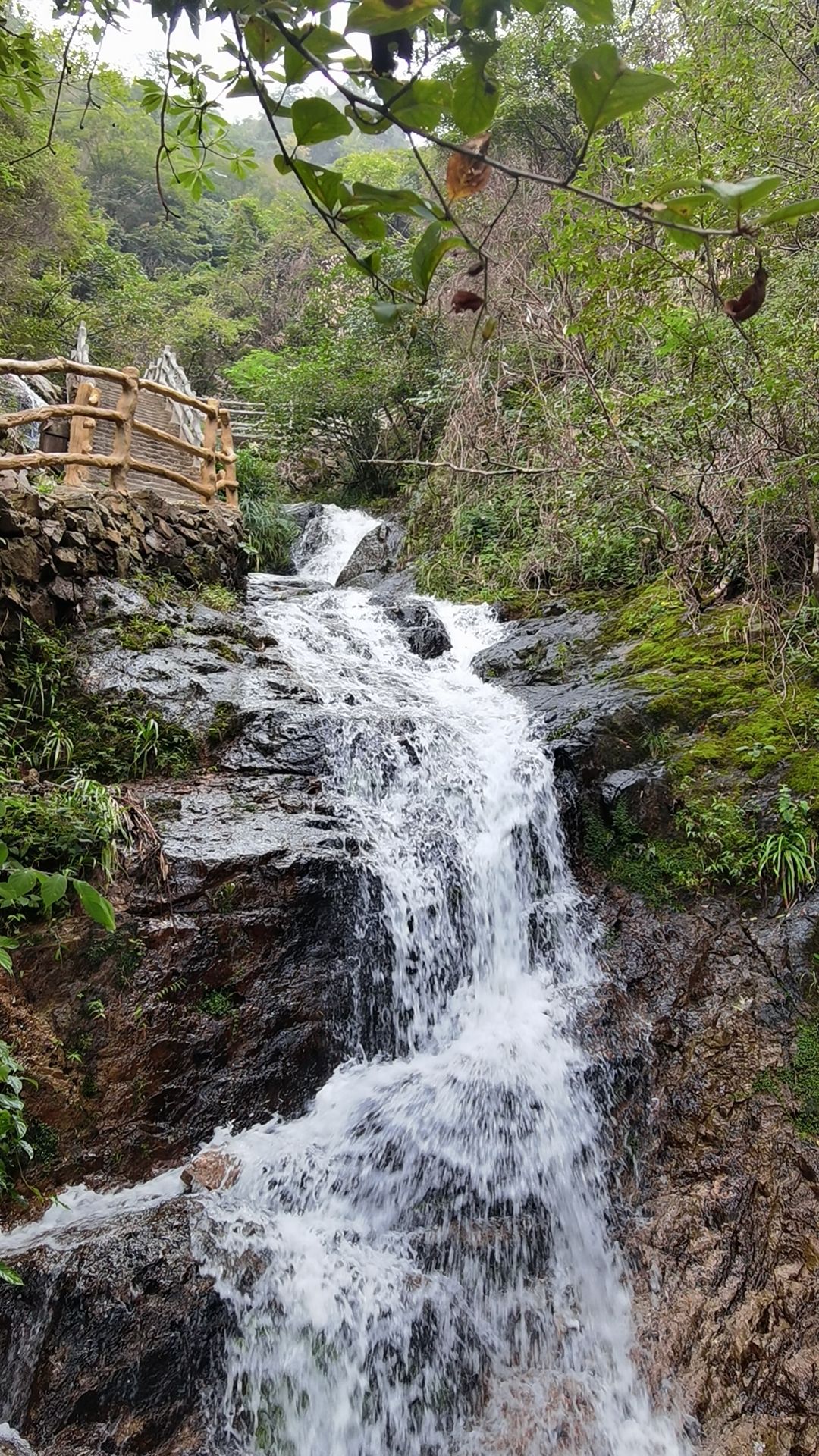 滴水源景区旅行图片 3
