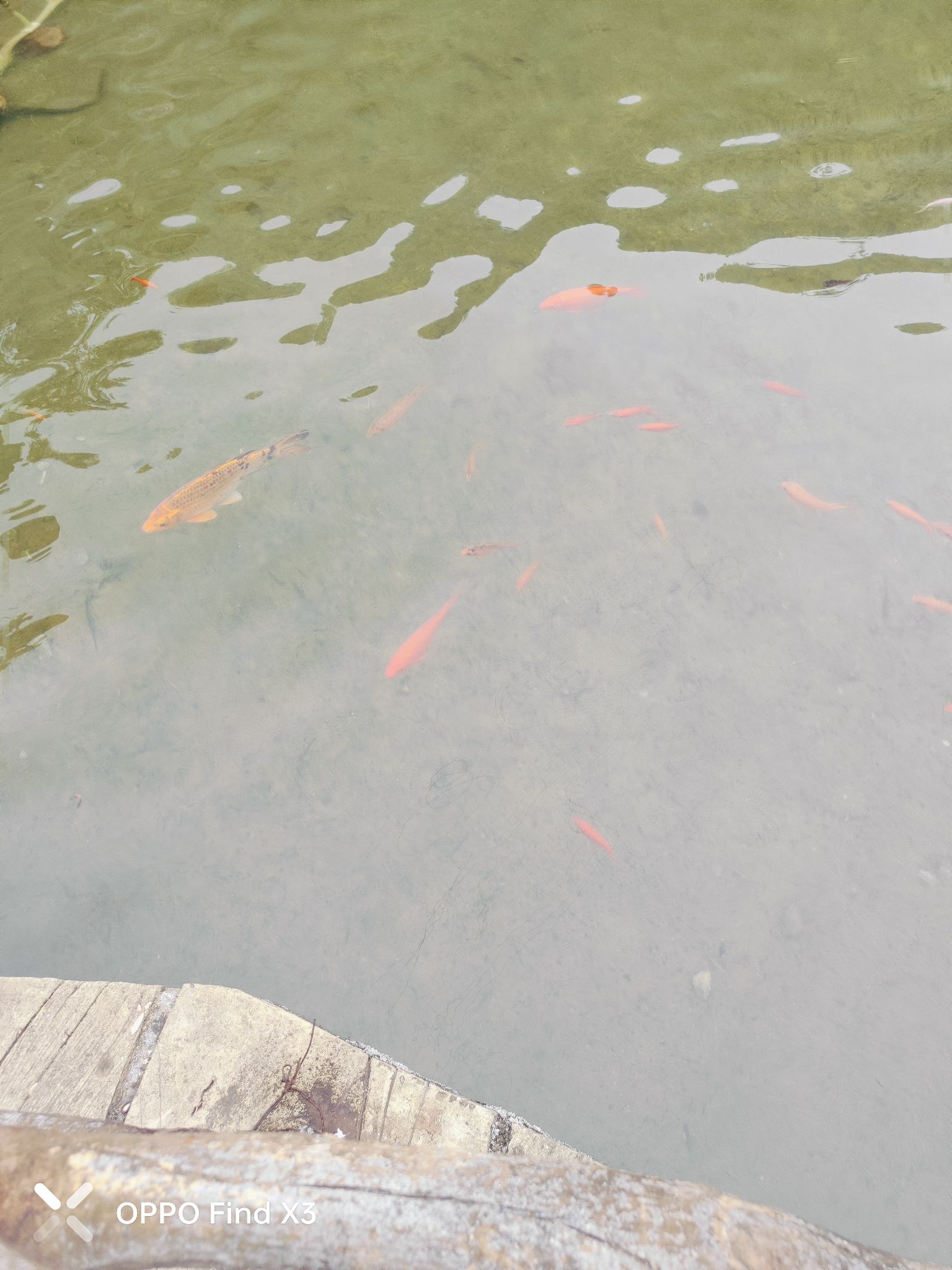 滴水源景区旅行图片 3