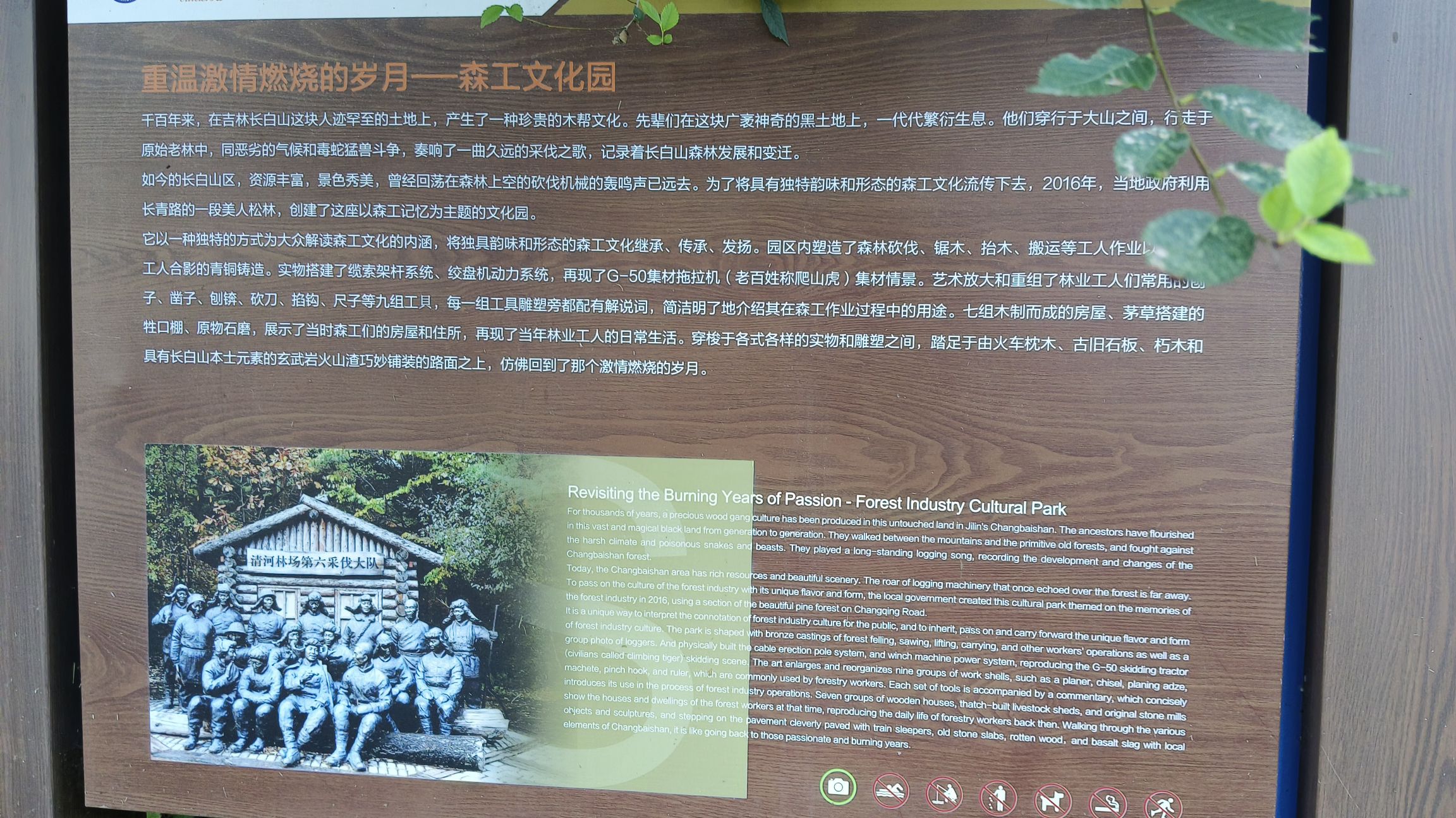 森工文化园旅行图片 3