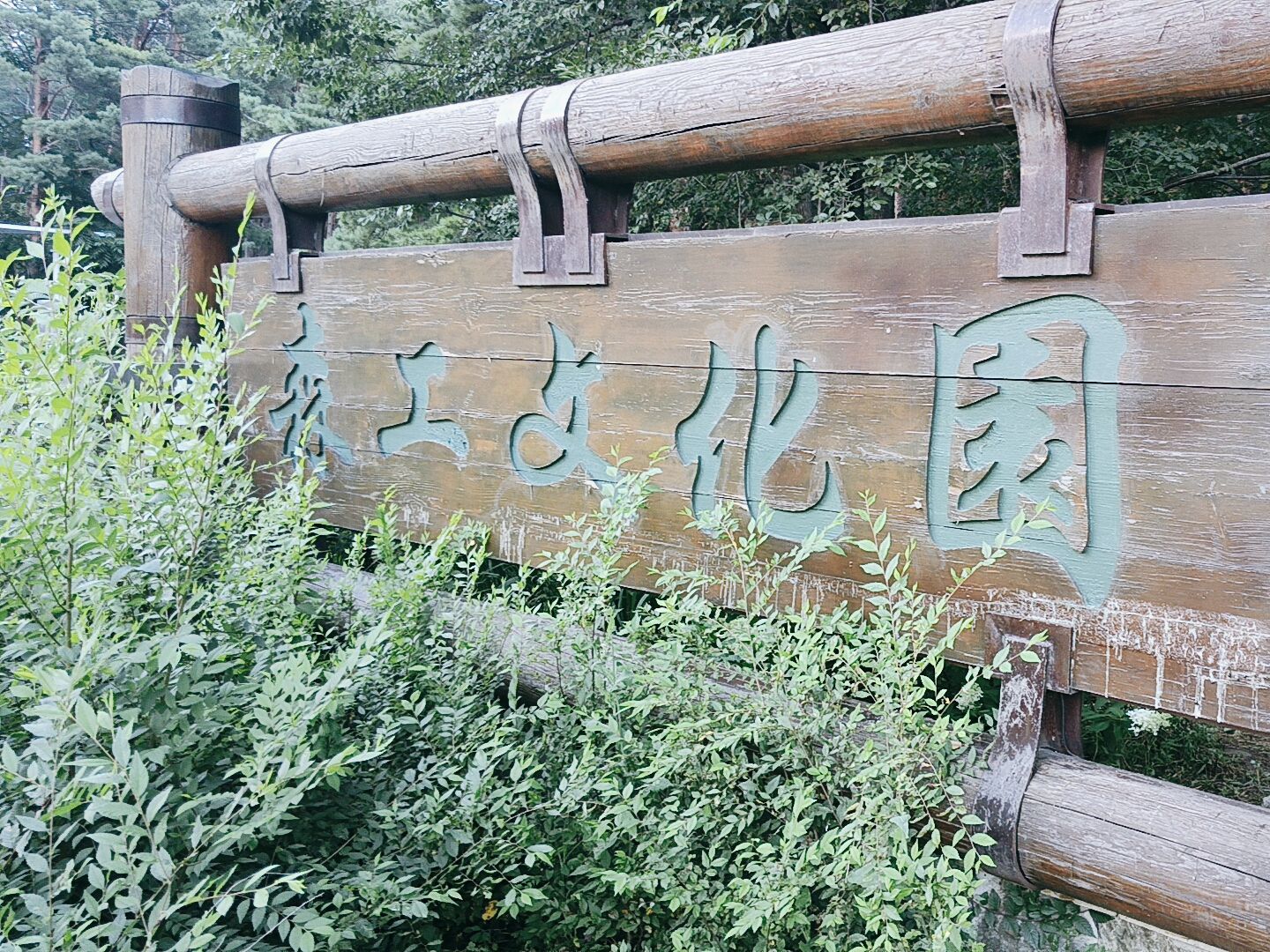 森工文化园旅行图片 1