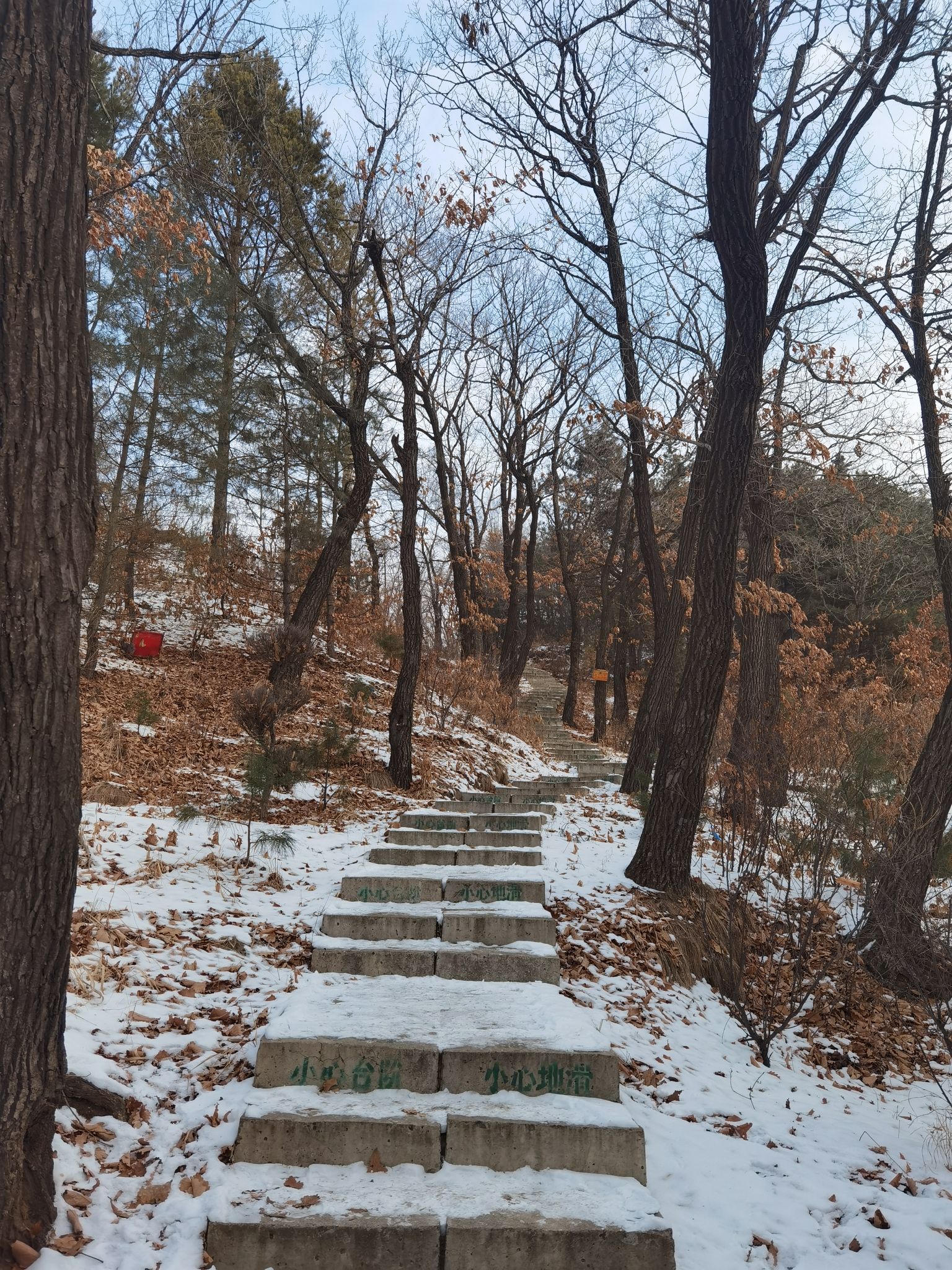 南山公园旅行图片 2
