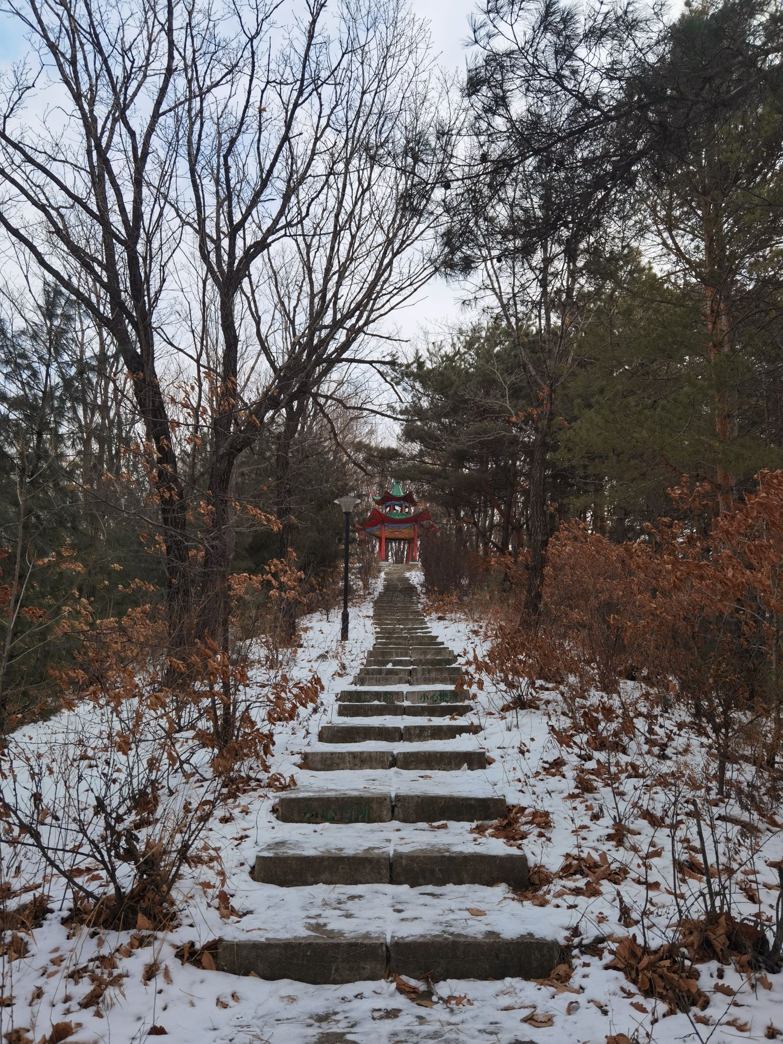 南山公园旅行图片 3