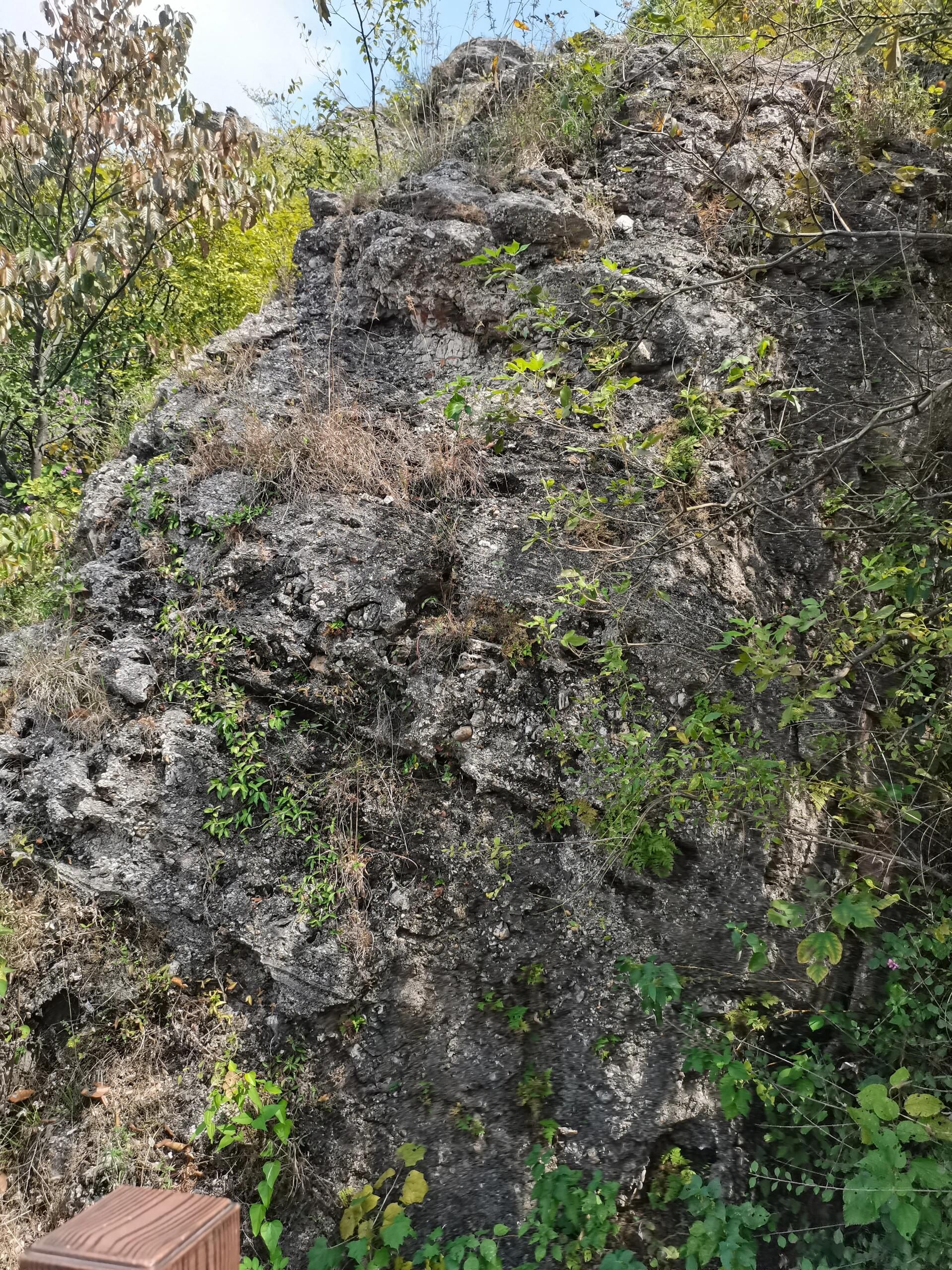 岱鳌山旅行图片 3