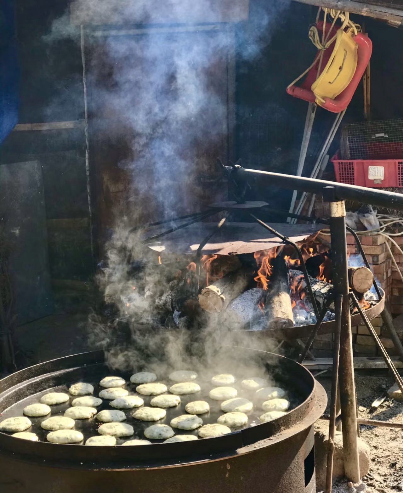 大沙镇榄坑梅园旅行图片 2