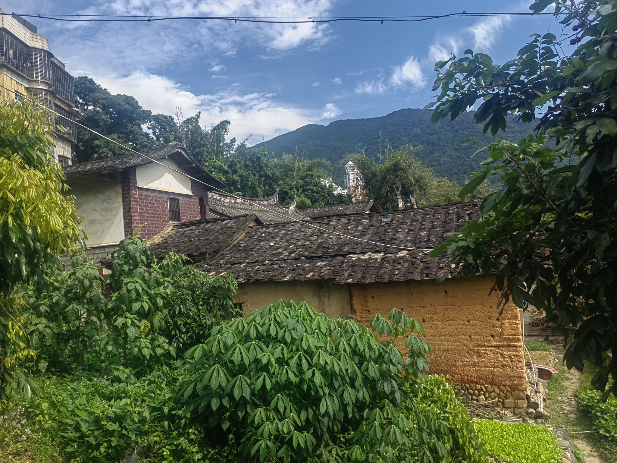 岵山古镇旅行图片 1