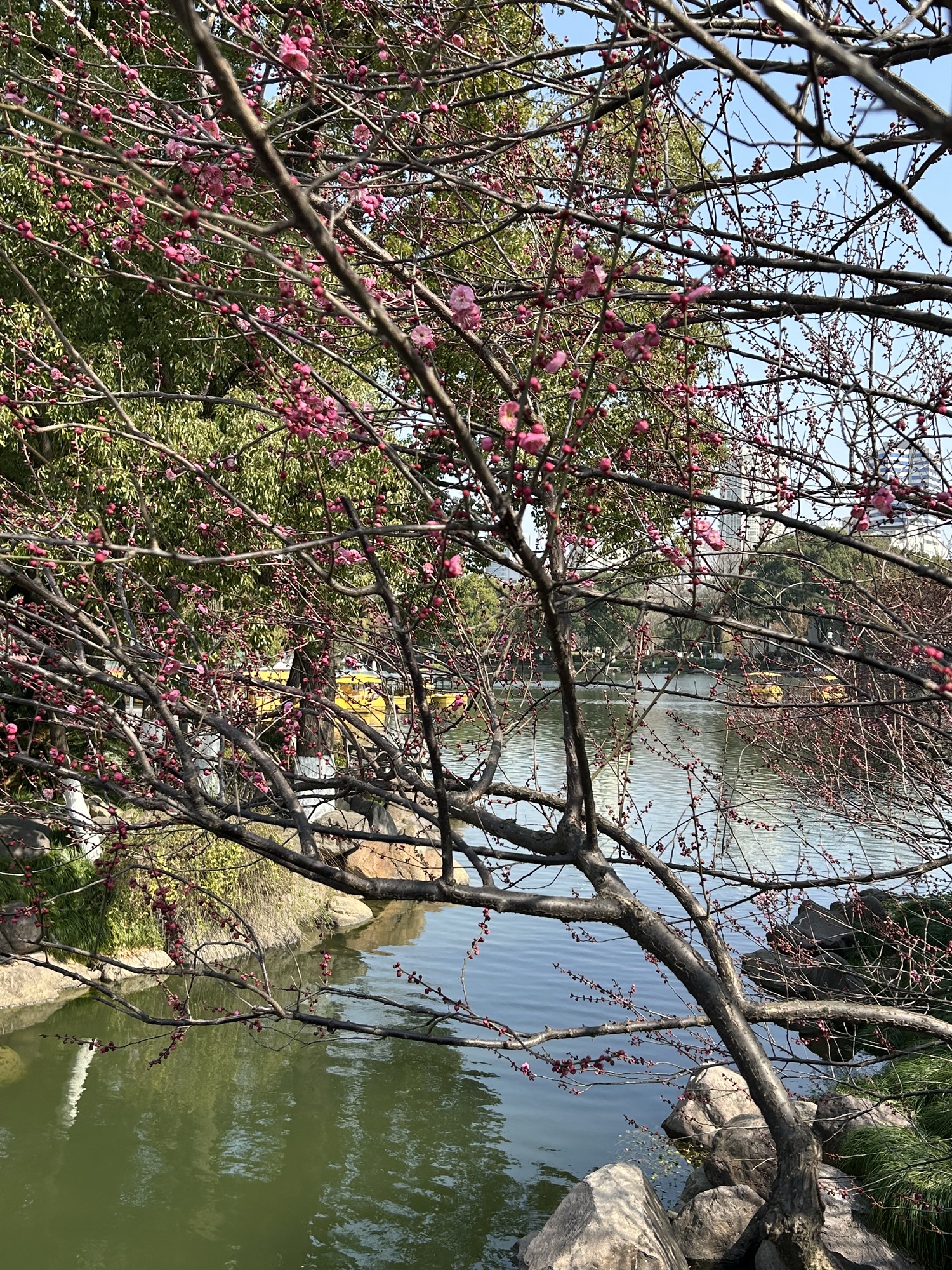 天一阁·月湖旅行图片 1