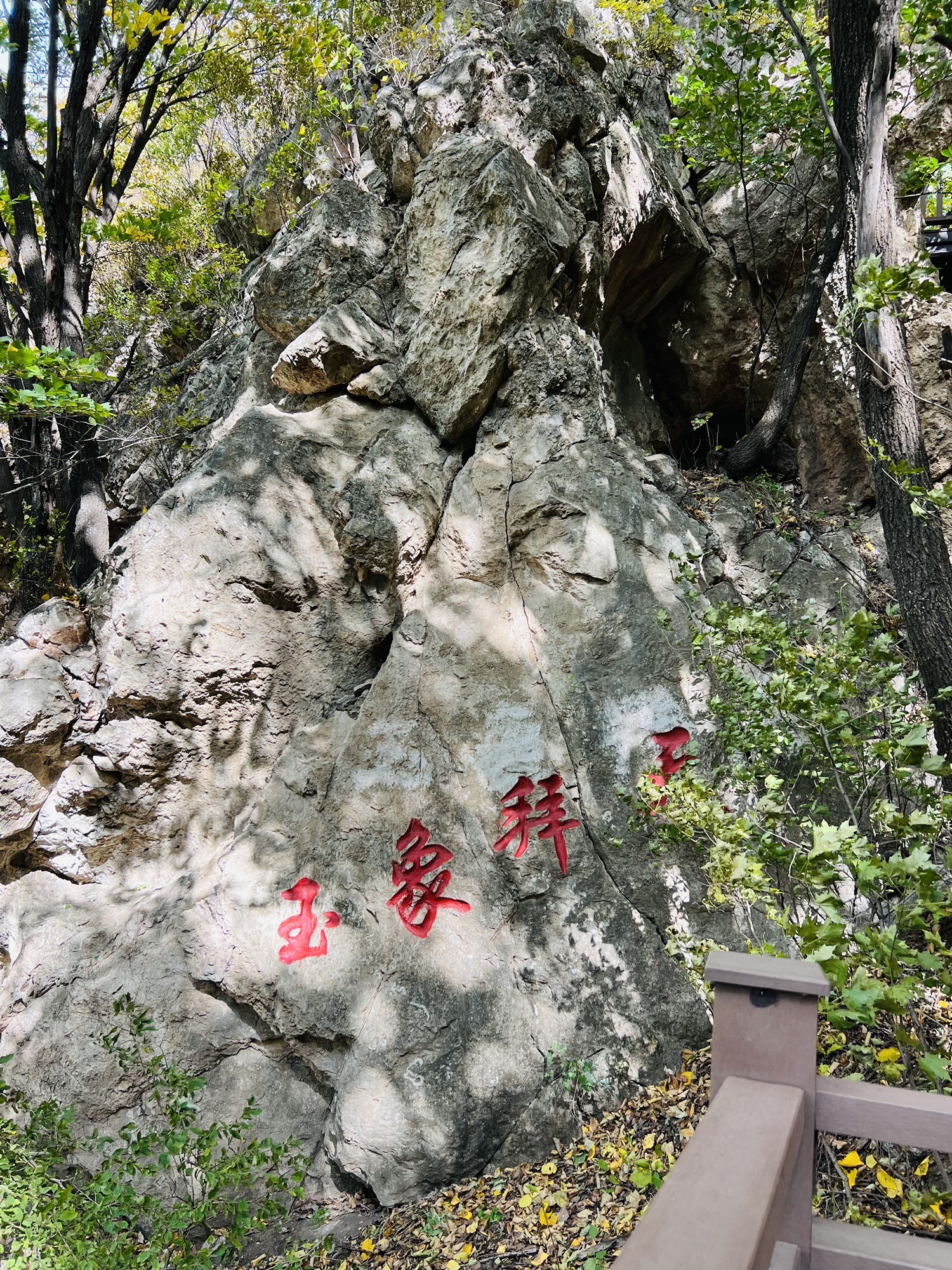 神鹿峰旅行图片 3