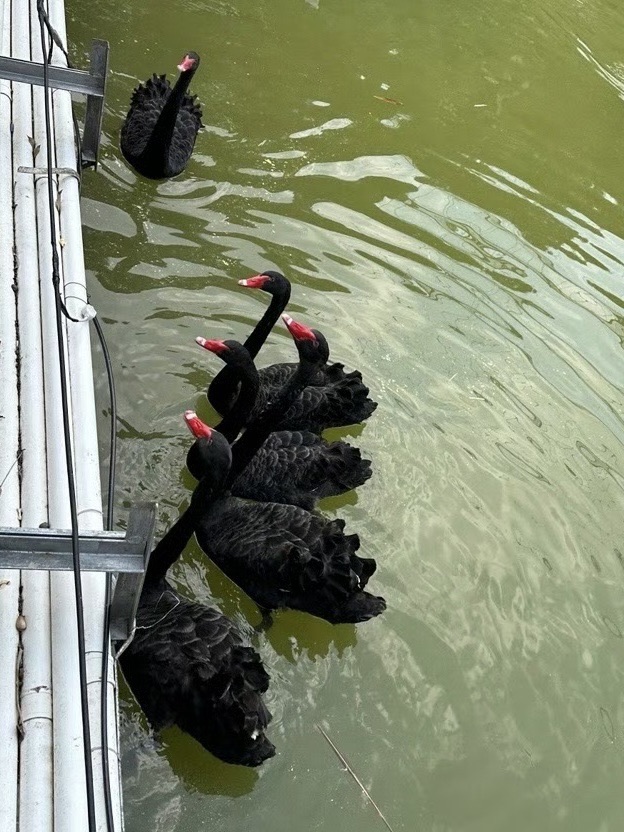 莲花湖庄园旅行图片 2