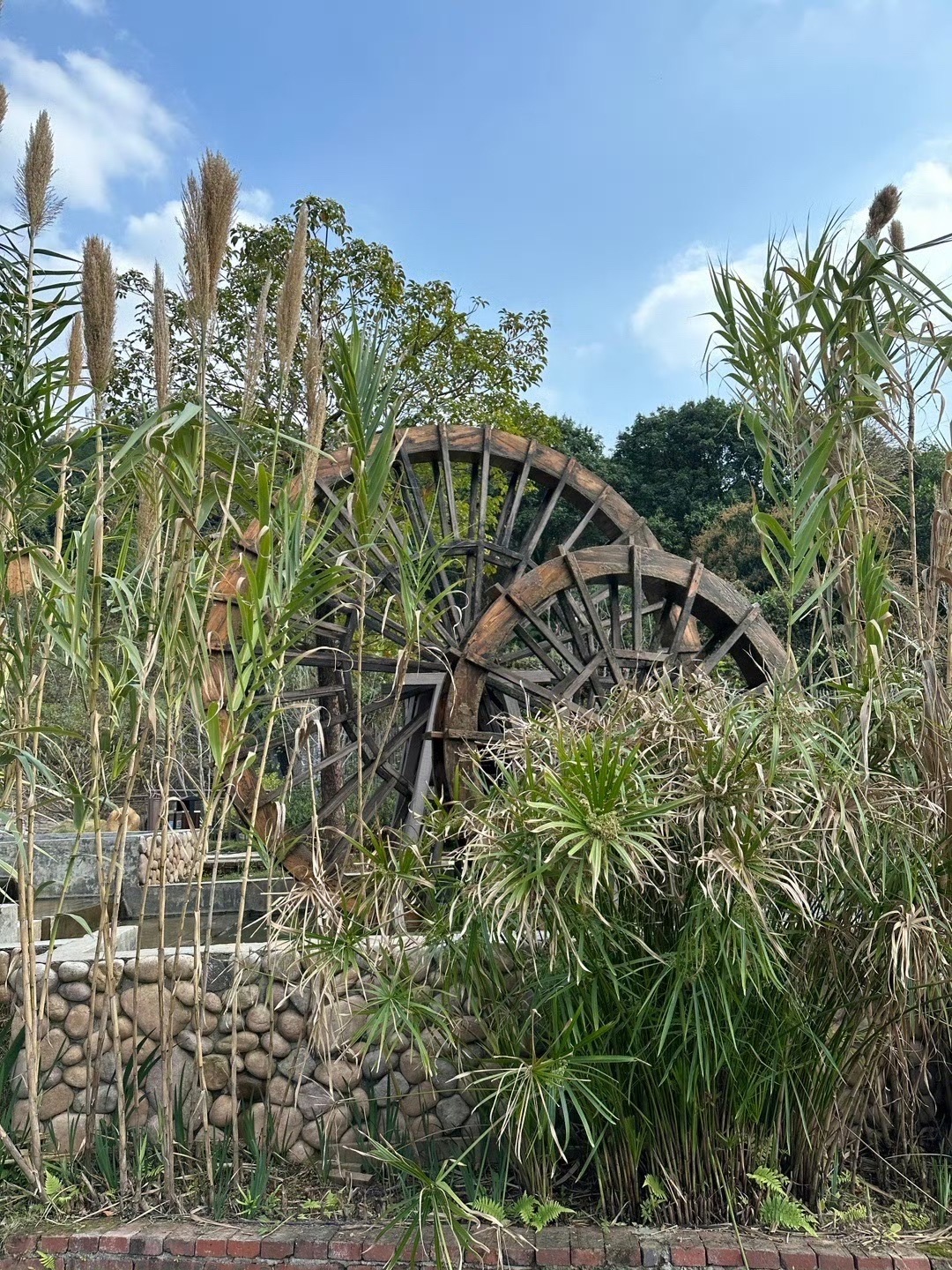 莲花湖庄园旅行图片 3