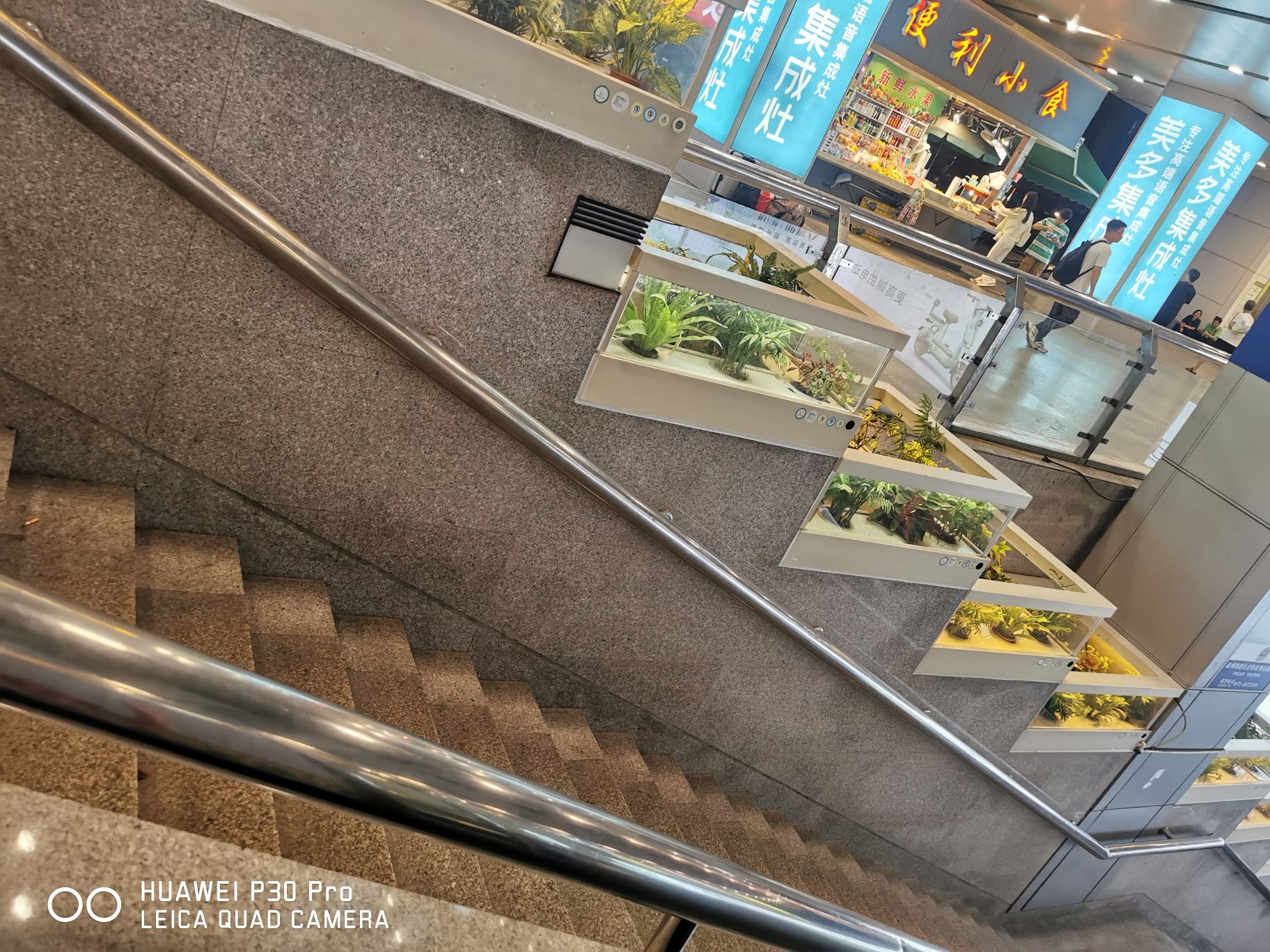 亳州市奇花园旅行图片 1