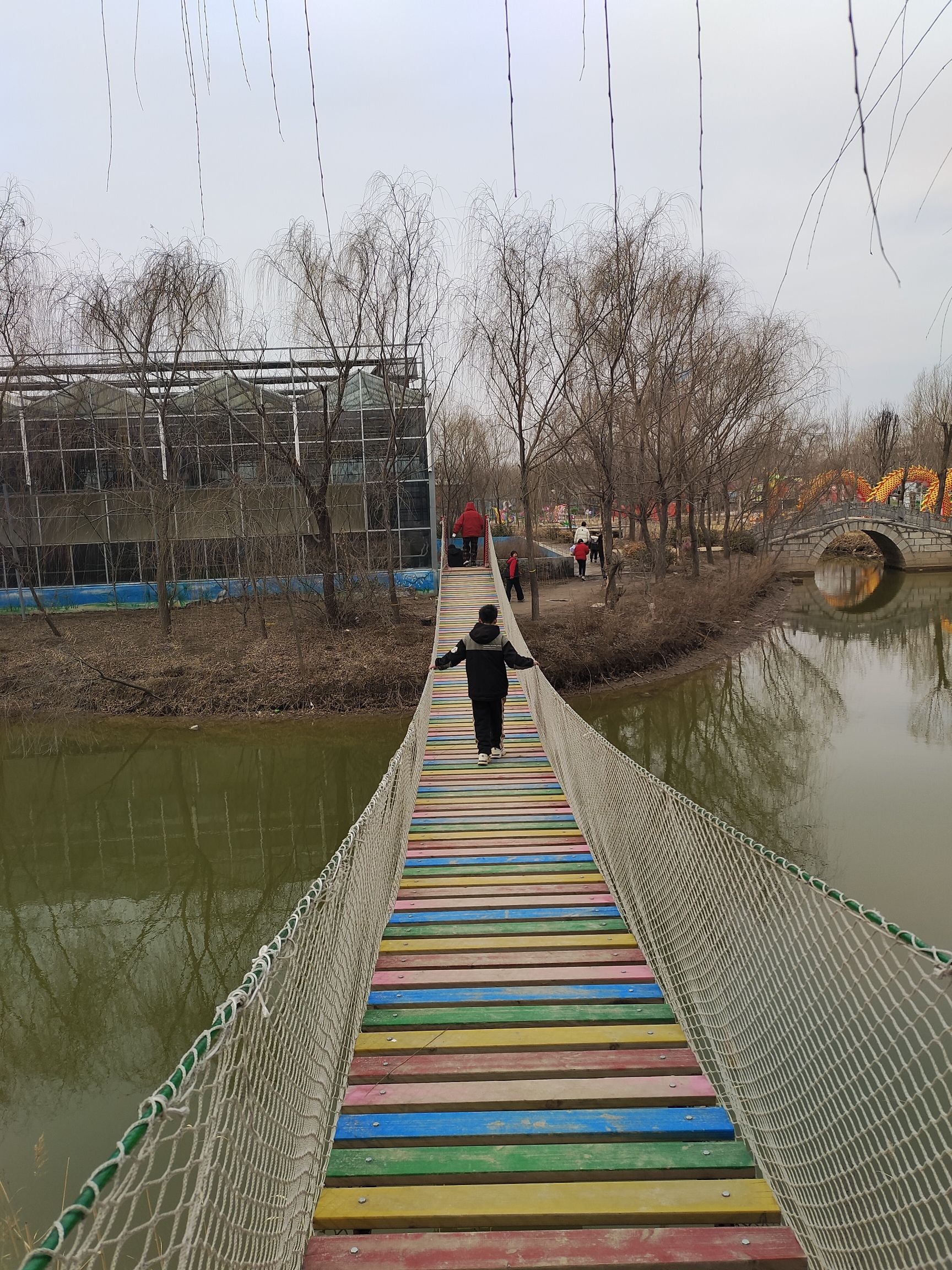 苏海森林动物世界旅行图片 3