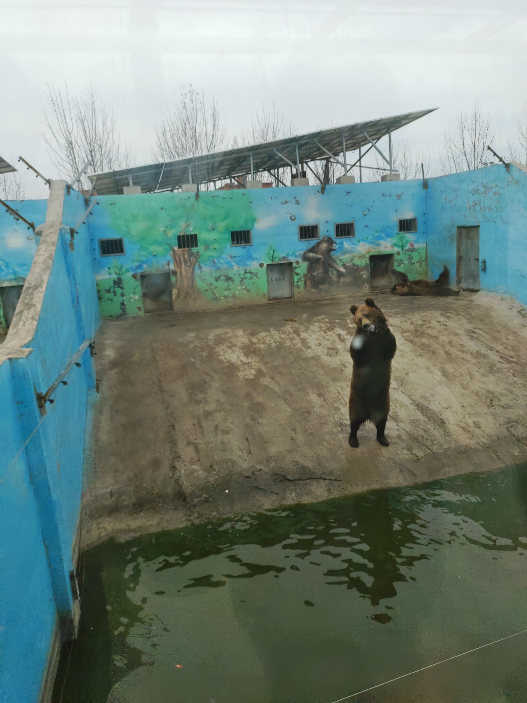 苏海森林动物世界旅行图片 2