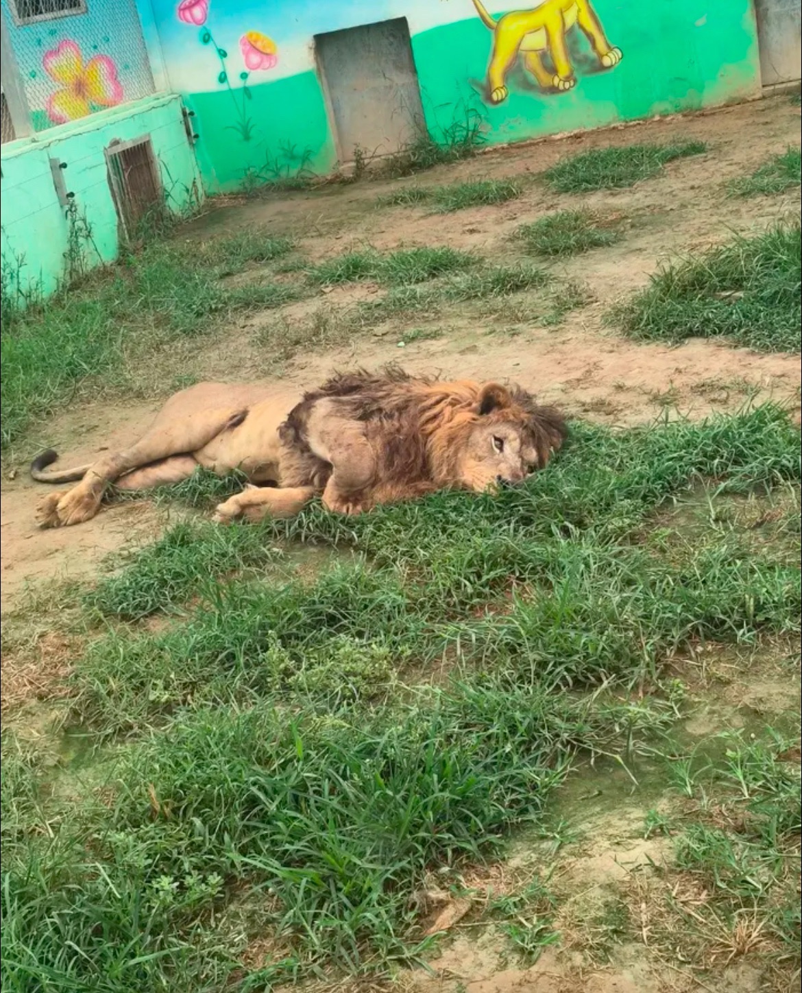 苏海森林动物世界旅行图片 2
