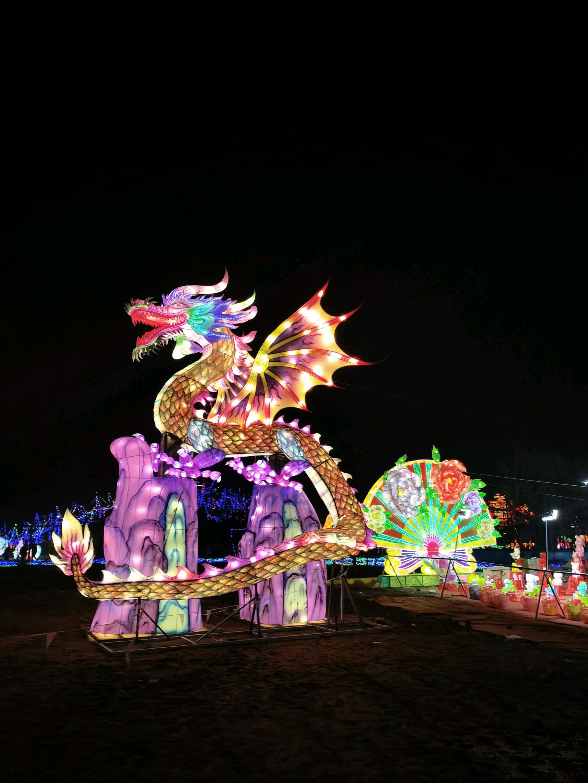 苏海森林动物世界旅行图片 3