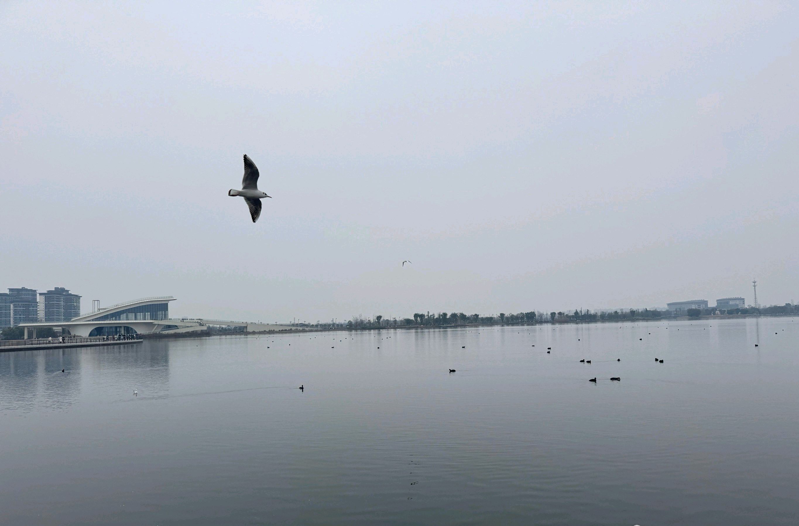 三星湖旅行图片 1