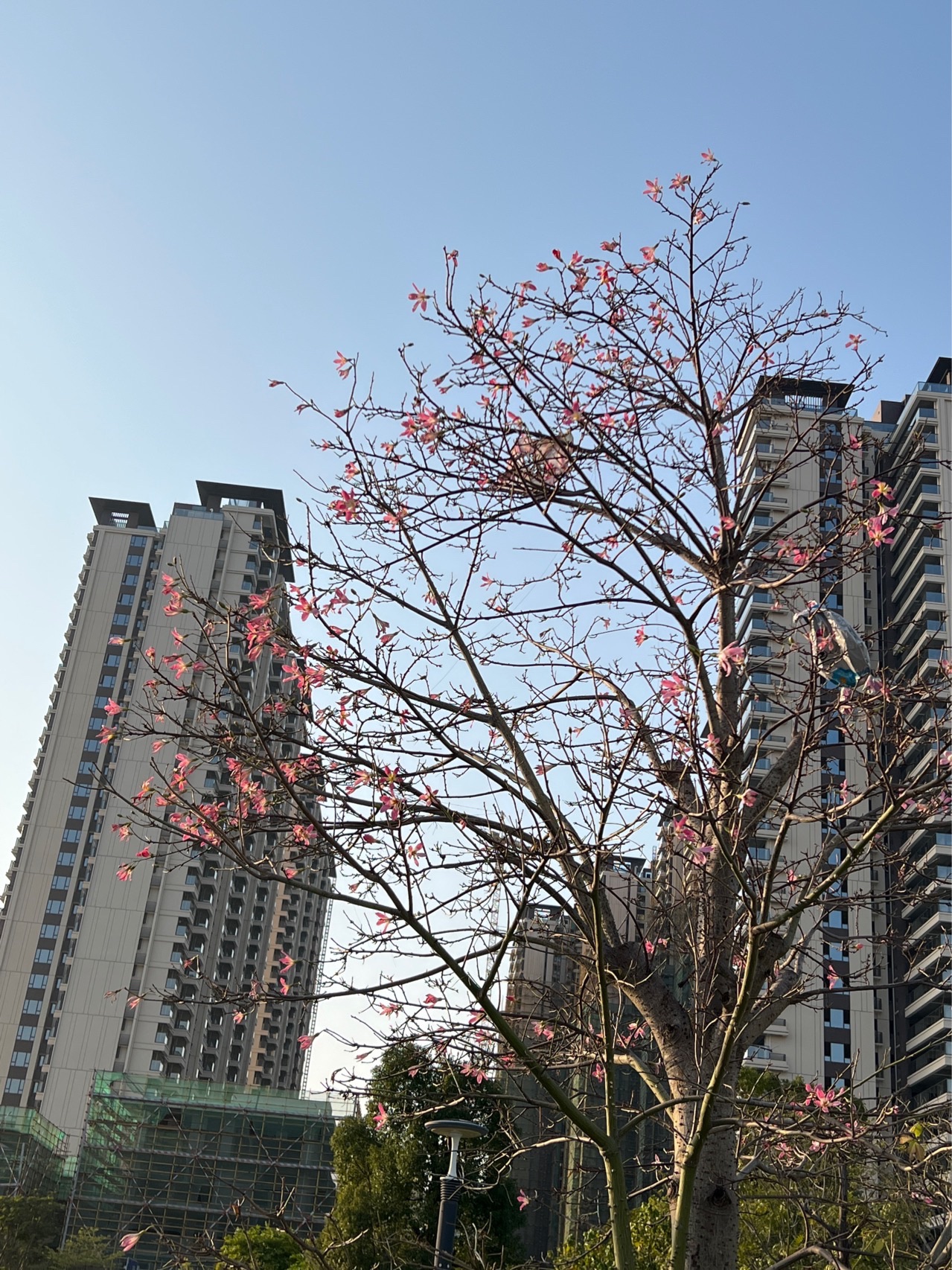 澄海奥飞市民广场旅行图片 1