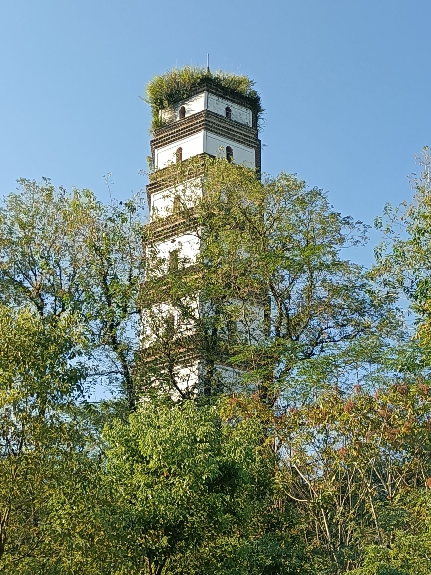 迎恩塔旅行图片 2