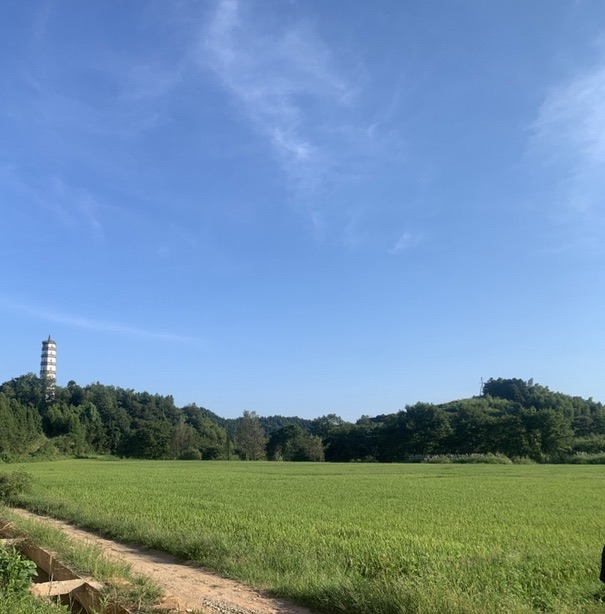 迎恩塔旅行图片 1