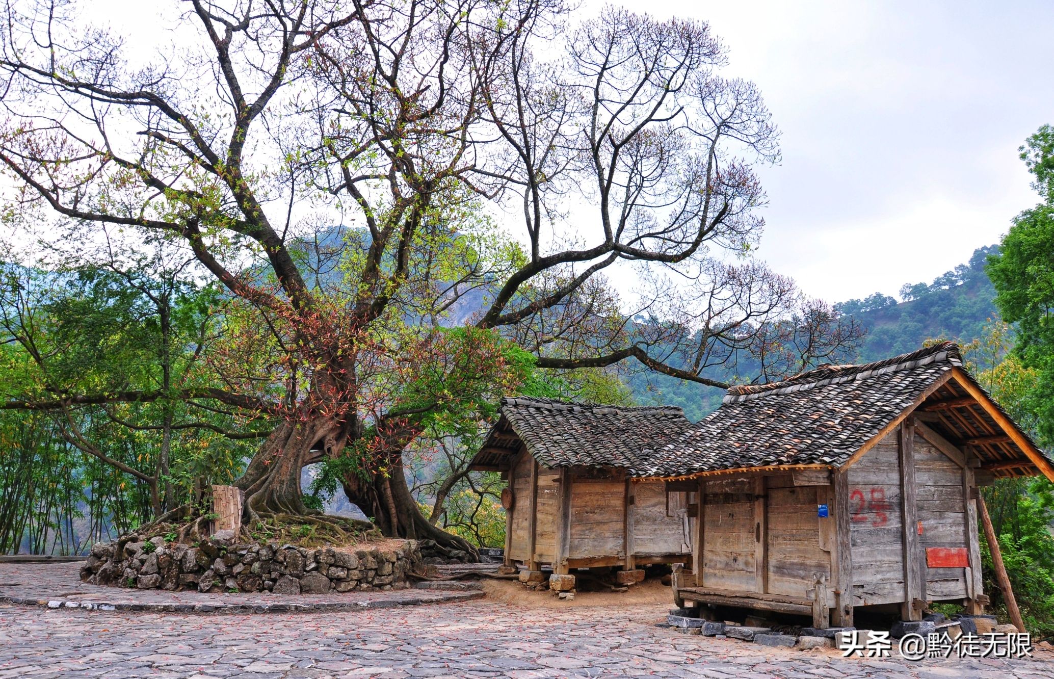 天门布依古村落旅行图片 1