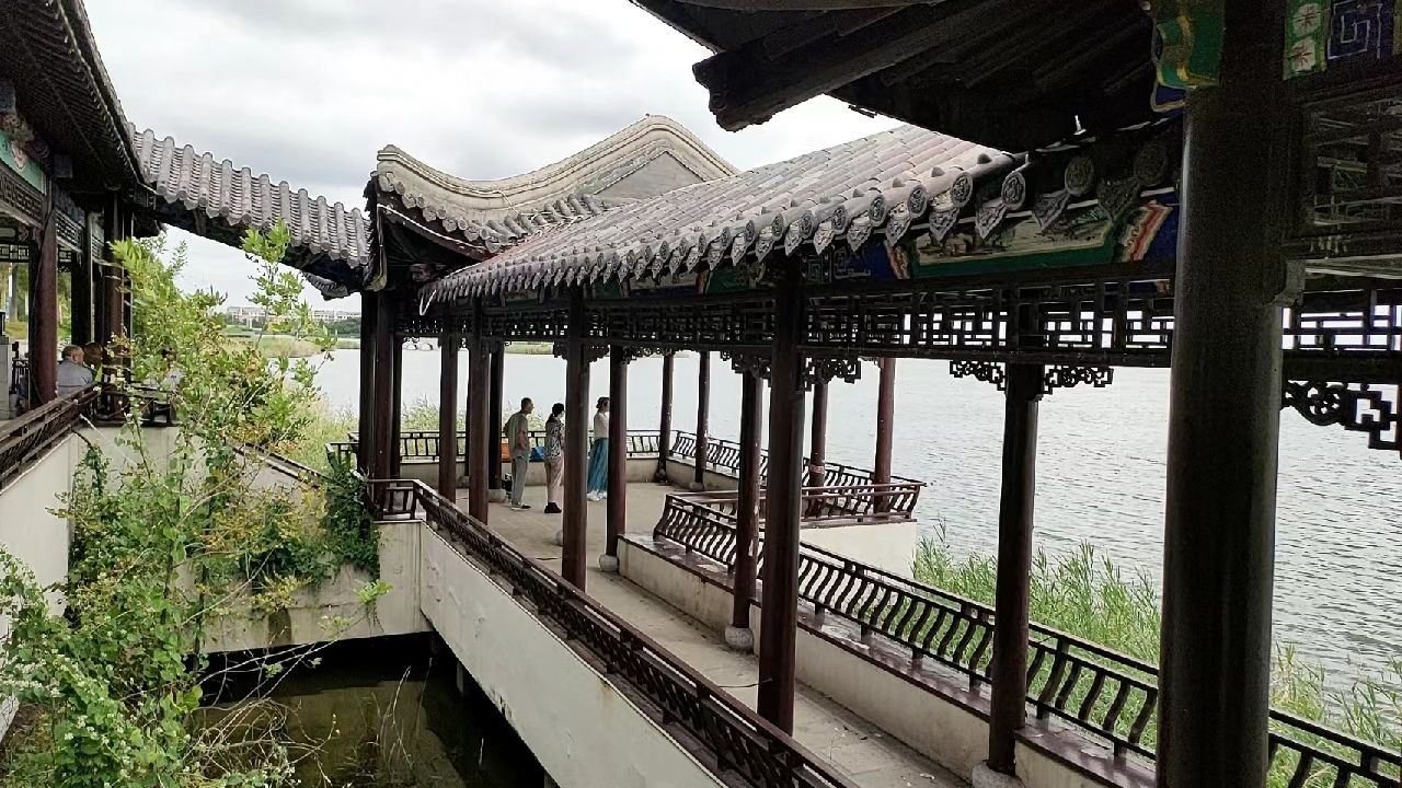 北海湿地公园旅行图片 3
