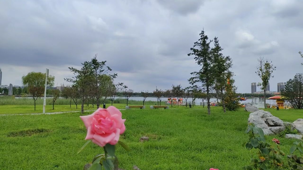 北海湿地公园旅行图片 2