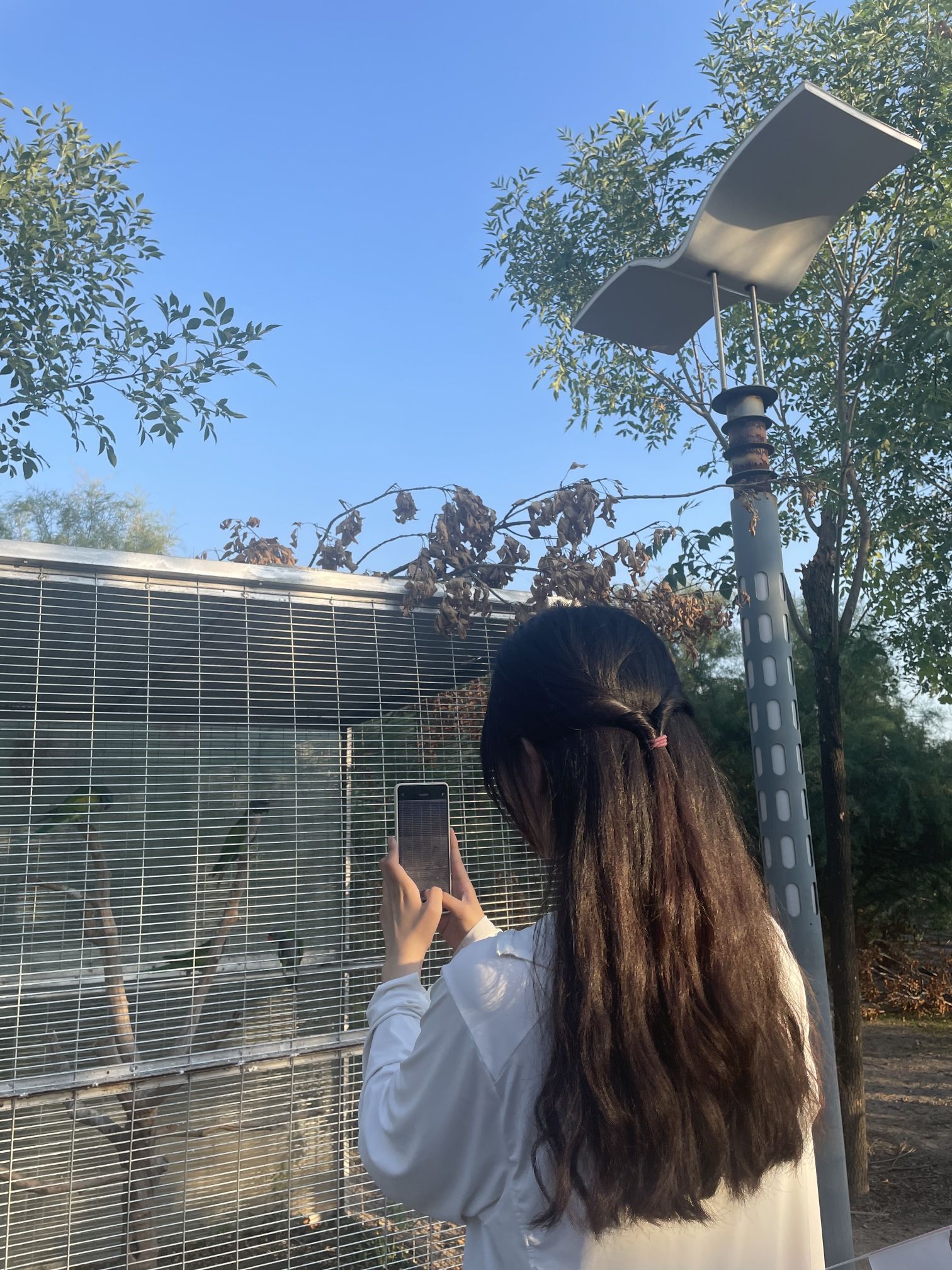 北海湿地公园旅行图片 1